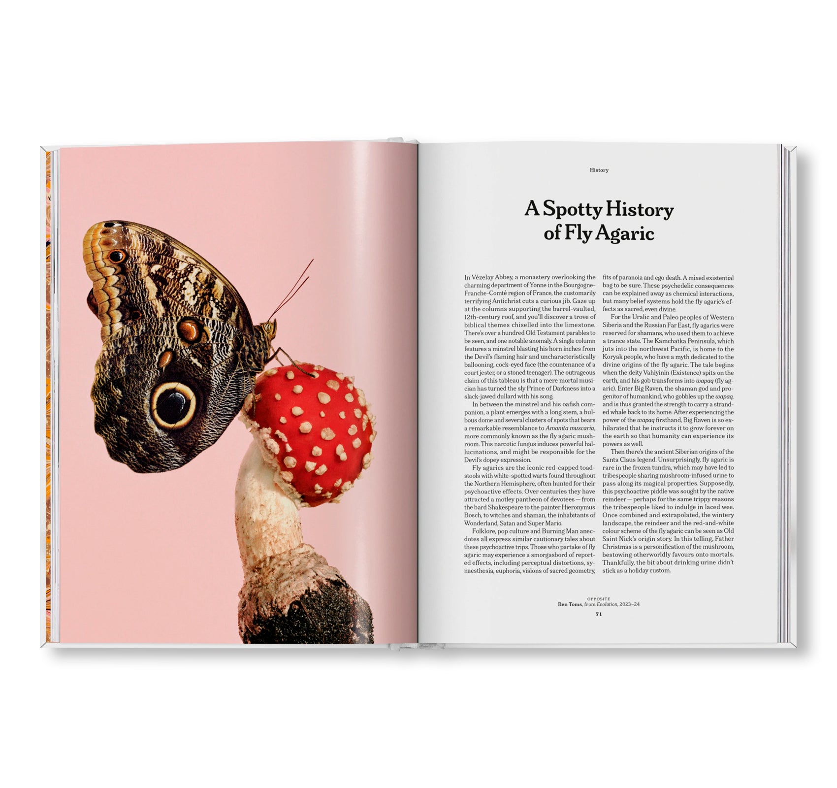 THE GOURMAND'S MUSHROOM. A COLLECTION OF STORIES AND RECIPES by The Gourmand