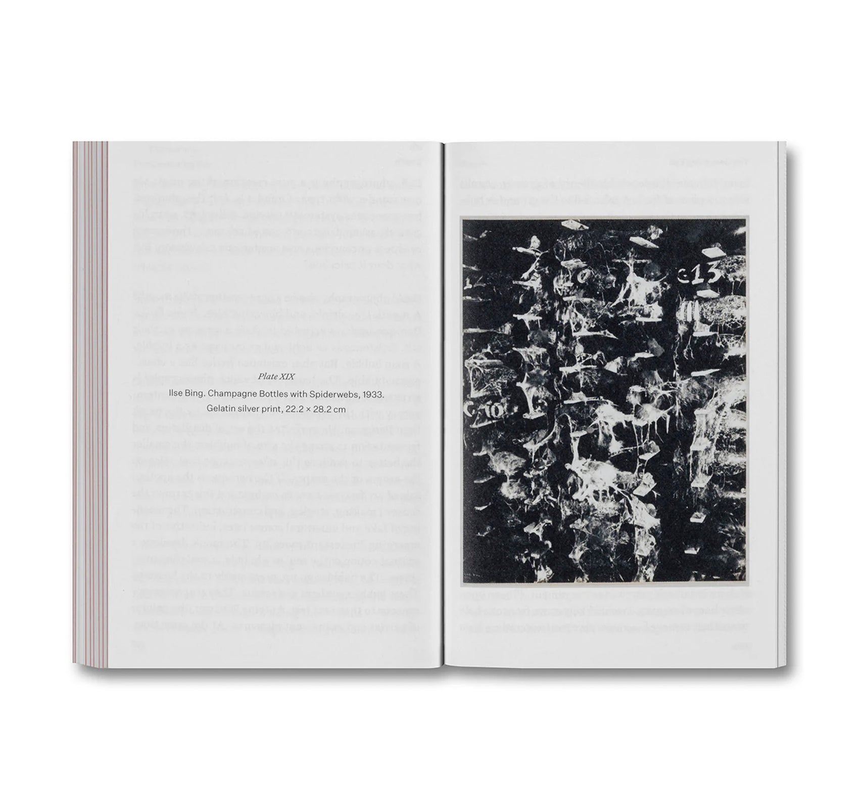 THE DEVOURING EYE: PHOTOGRAPHY AND THE MOUTH by Olivier Richon