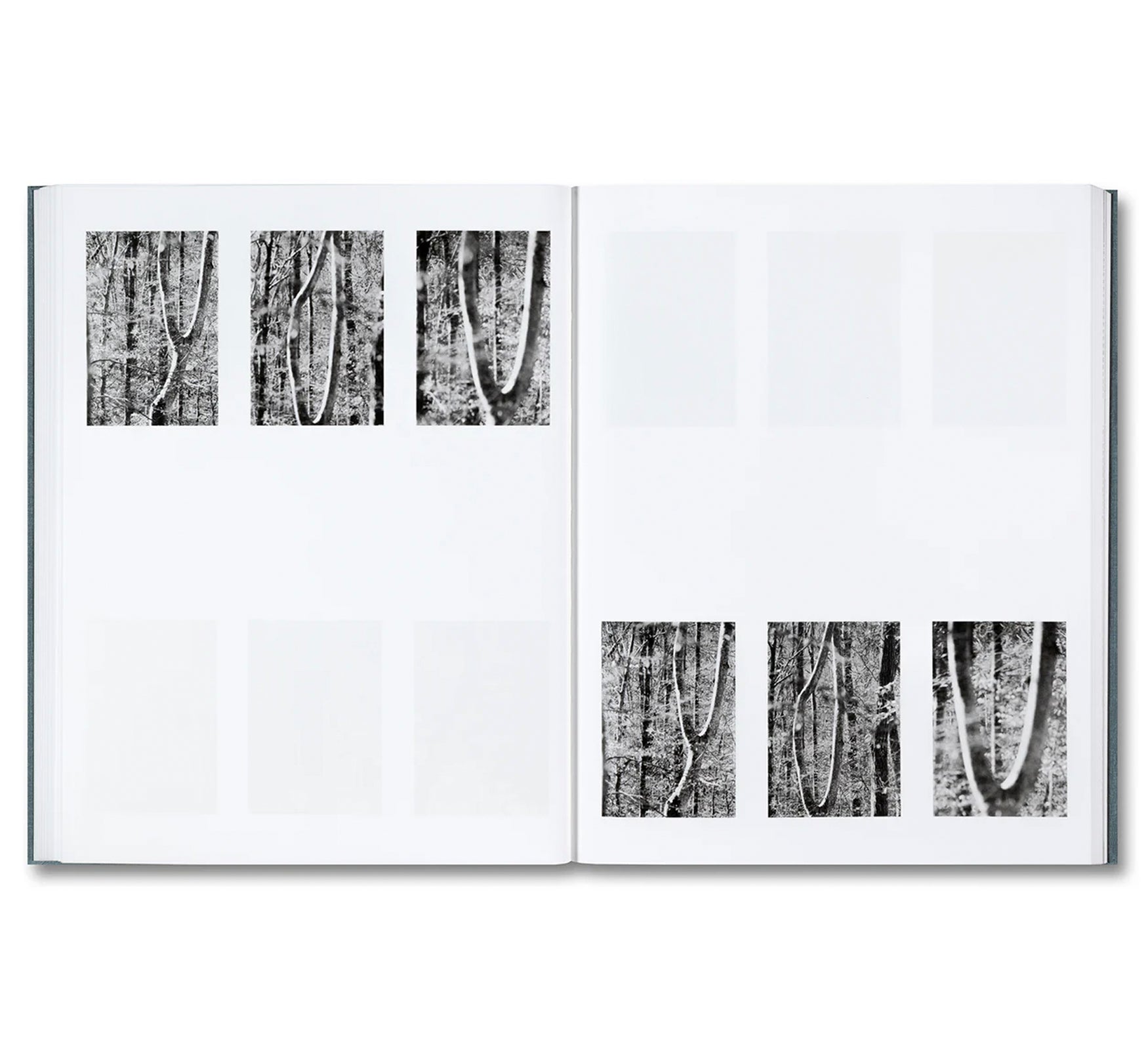DISTRIBUTION by Daniel Shea