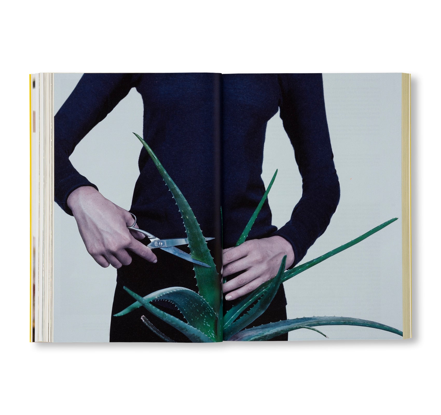 BEWARE OF YOURSELF by Maurizio Cattelan [ENGLISH EDITION]