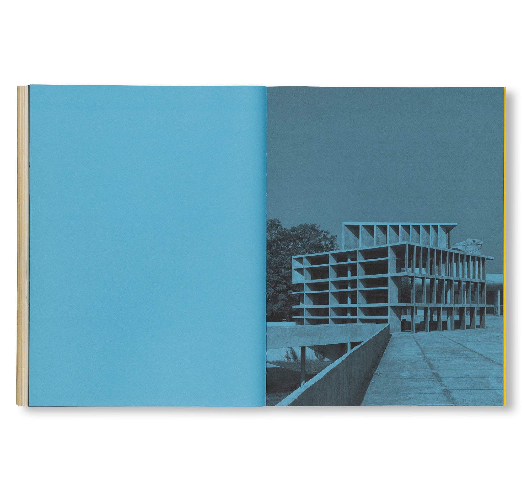 OBJECT CHANDIGARH by George Gilpin