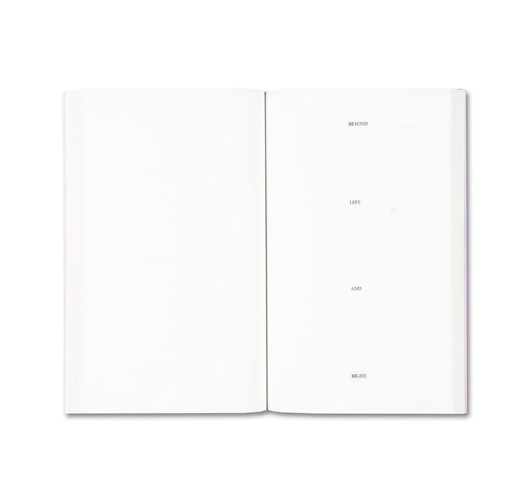 POLITICS AND PASSIONS by Anna Ostoya & Chantal Mouffe