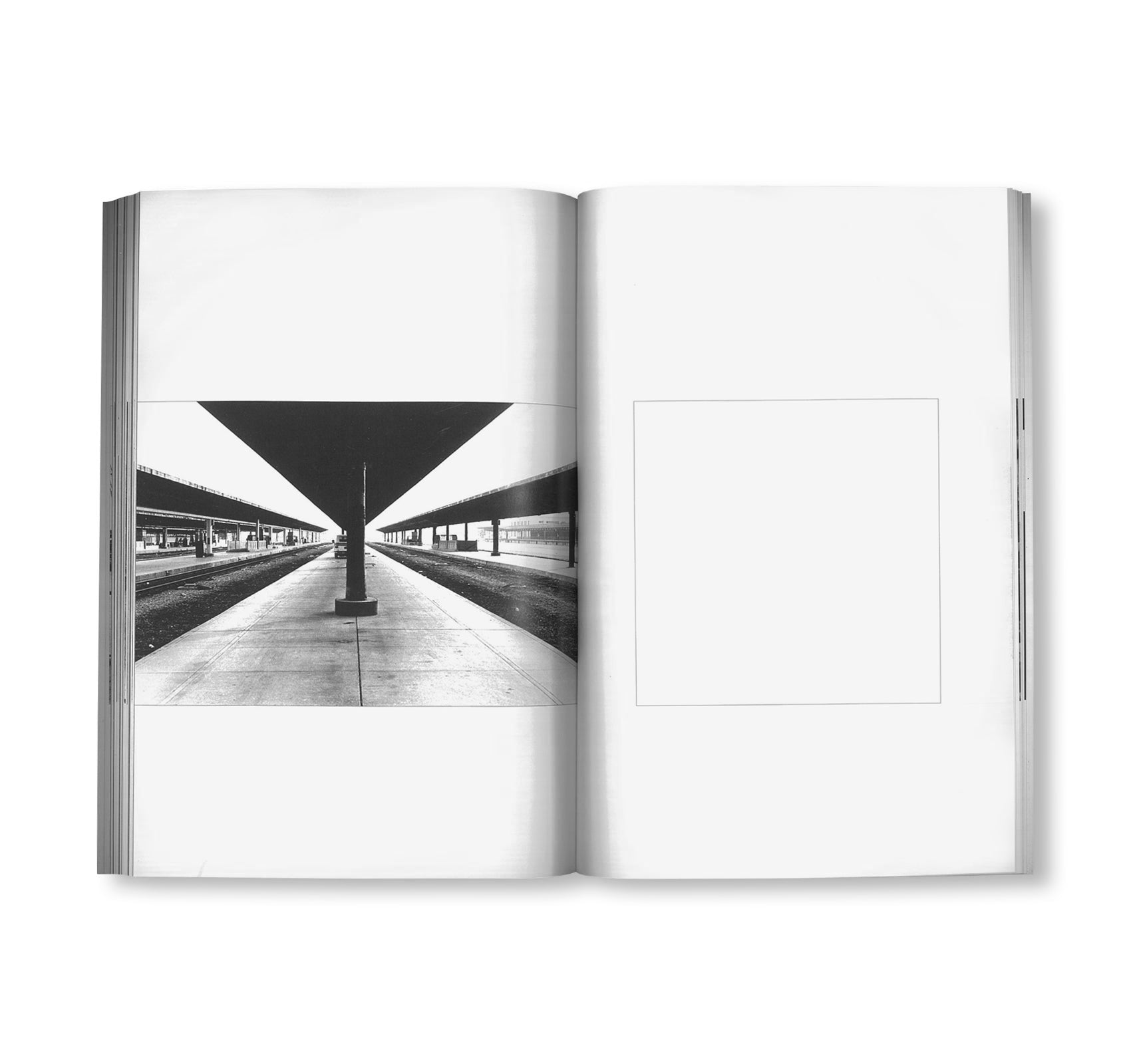 MANY by Peter Downsbrough