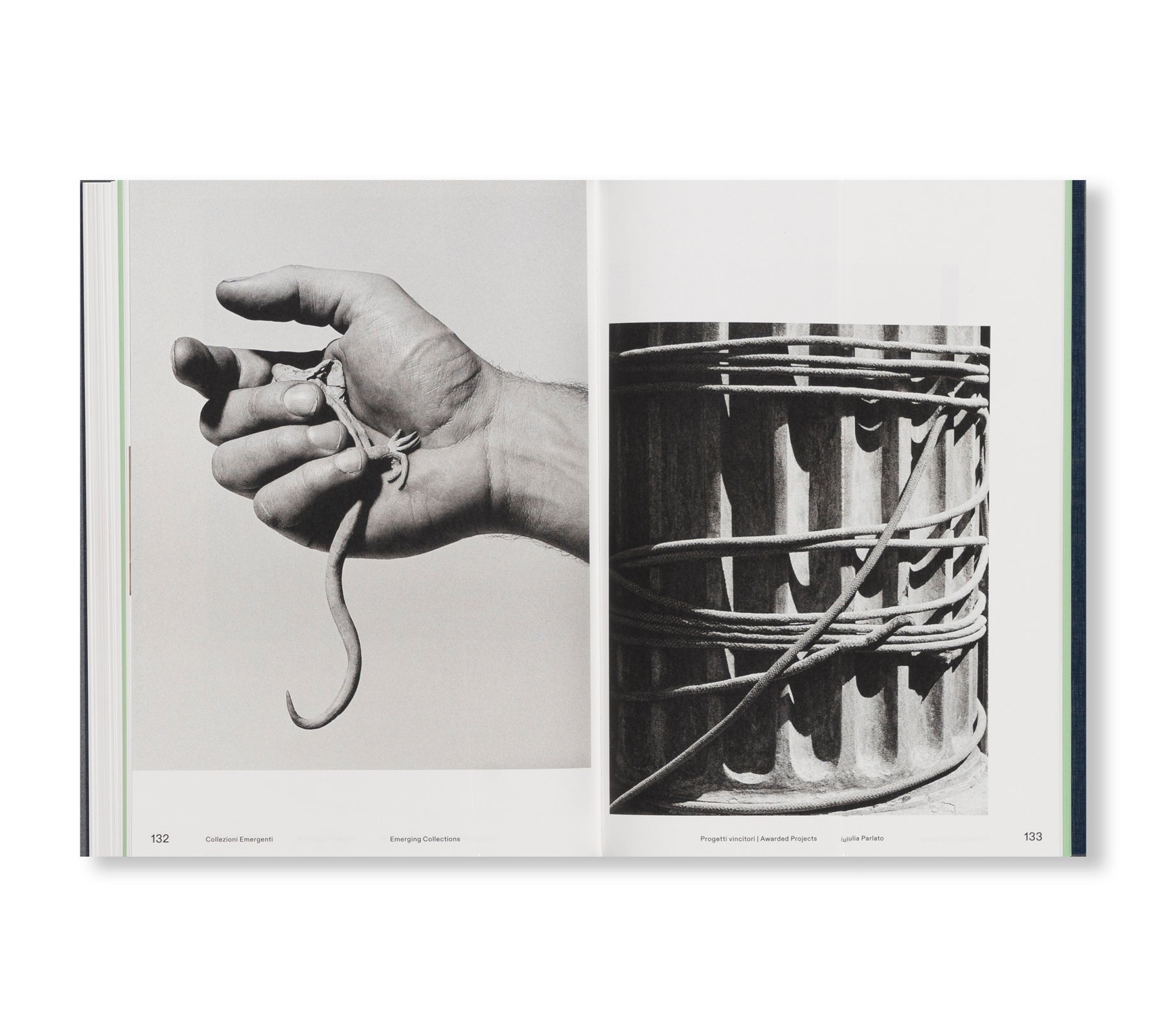 EMERGING COLLECTIONS - THE EXPERIENCE OF YOUNG ITALIAN PHOTOGRAPHY - LUIGI GHIRRI AWARD