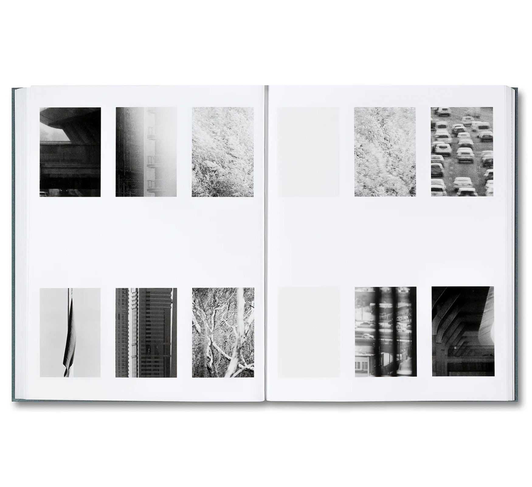 DISTRIBUTION by Daniel Shea
