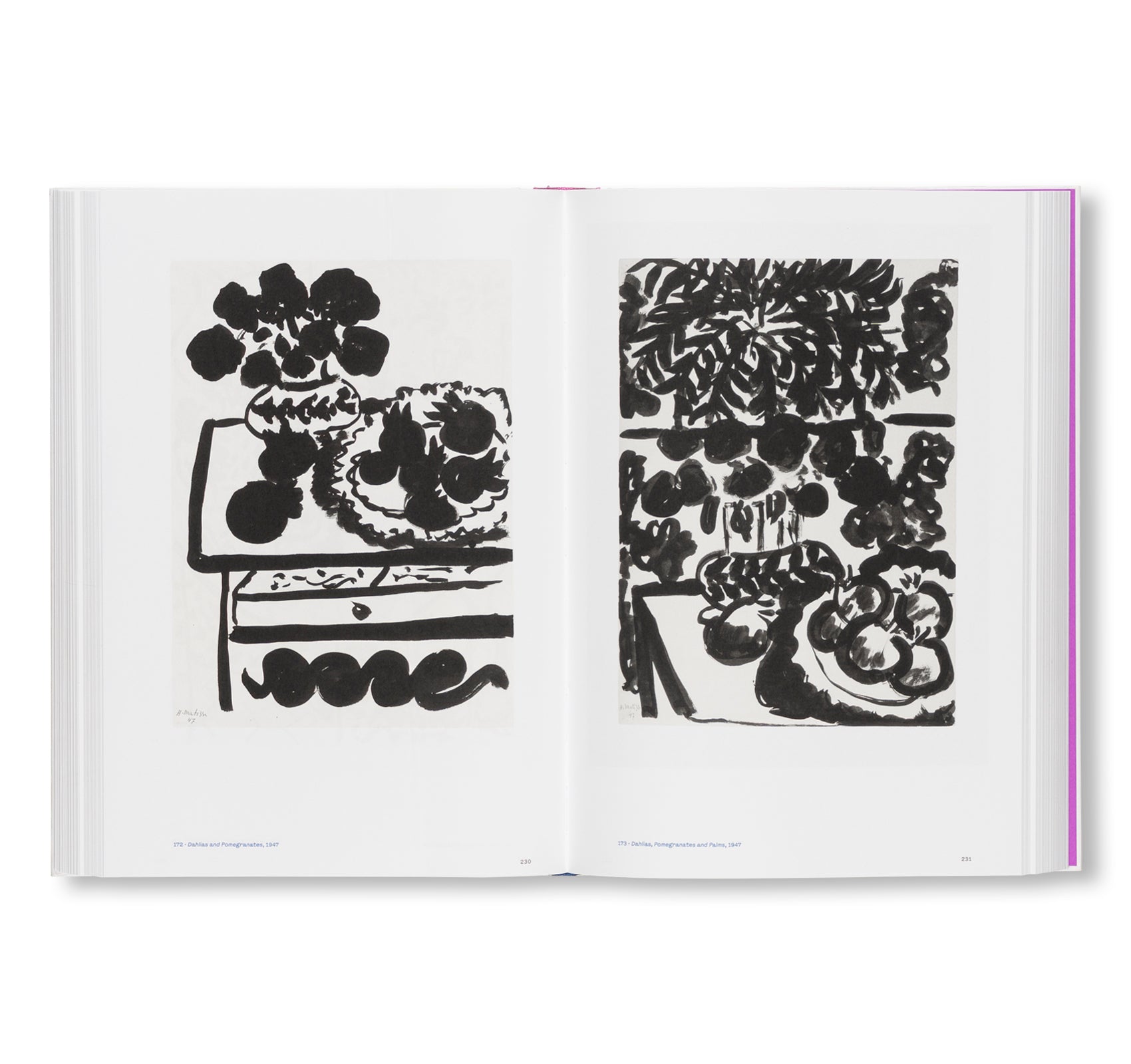 COLOUR UNBOUND: HENRI MATISSE 1941–1954 by Henri Matisse