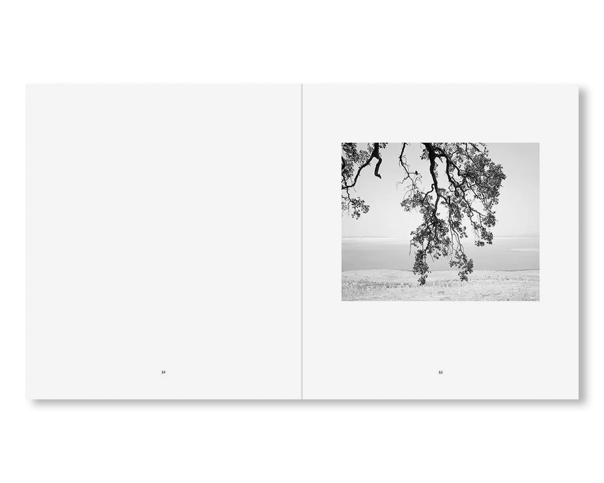 THE RESERVOIR by Mimi Plumb