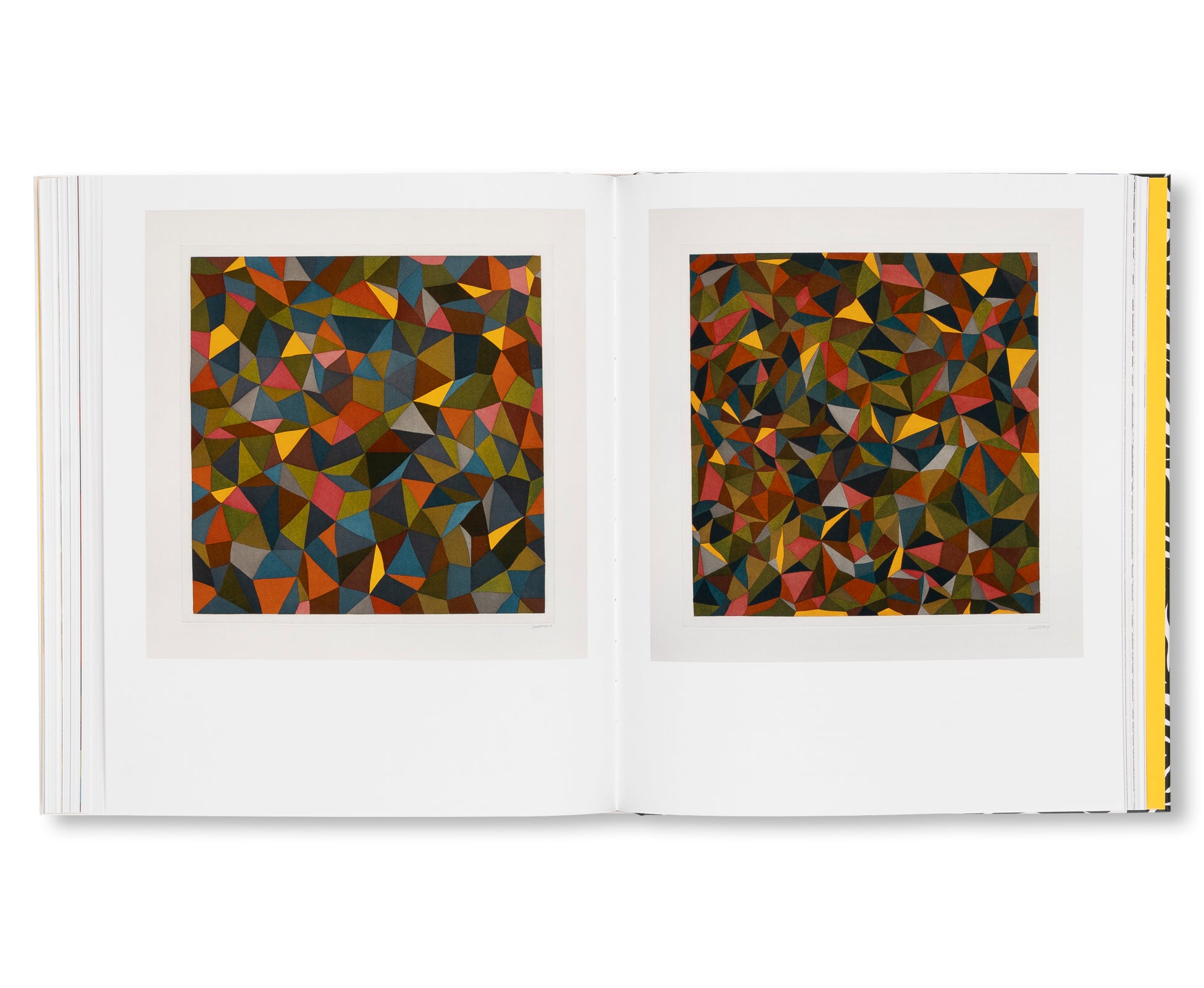 STRICT BEAUTY - SOL LEWITT PRINTS by Sol LeWitt