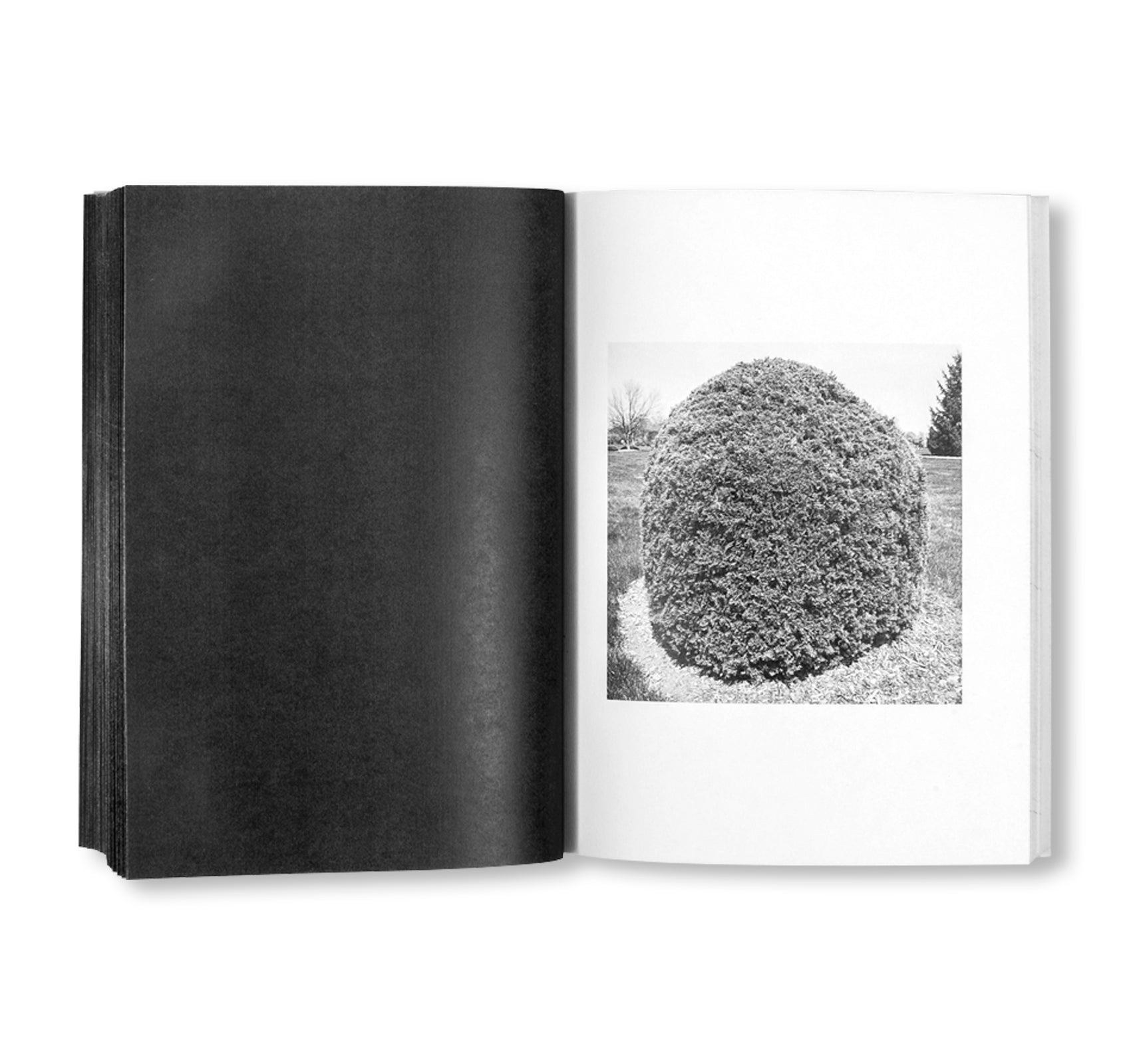 SHRUBS OF DEATH by Mike Slack [ENGLISH COVER / SIGNED]