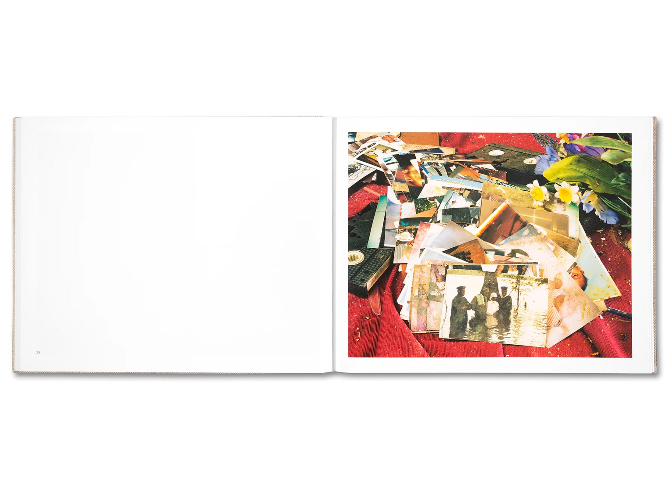 A POUND OF PICTURES by Alec Soth