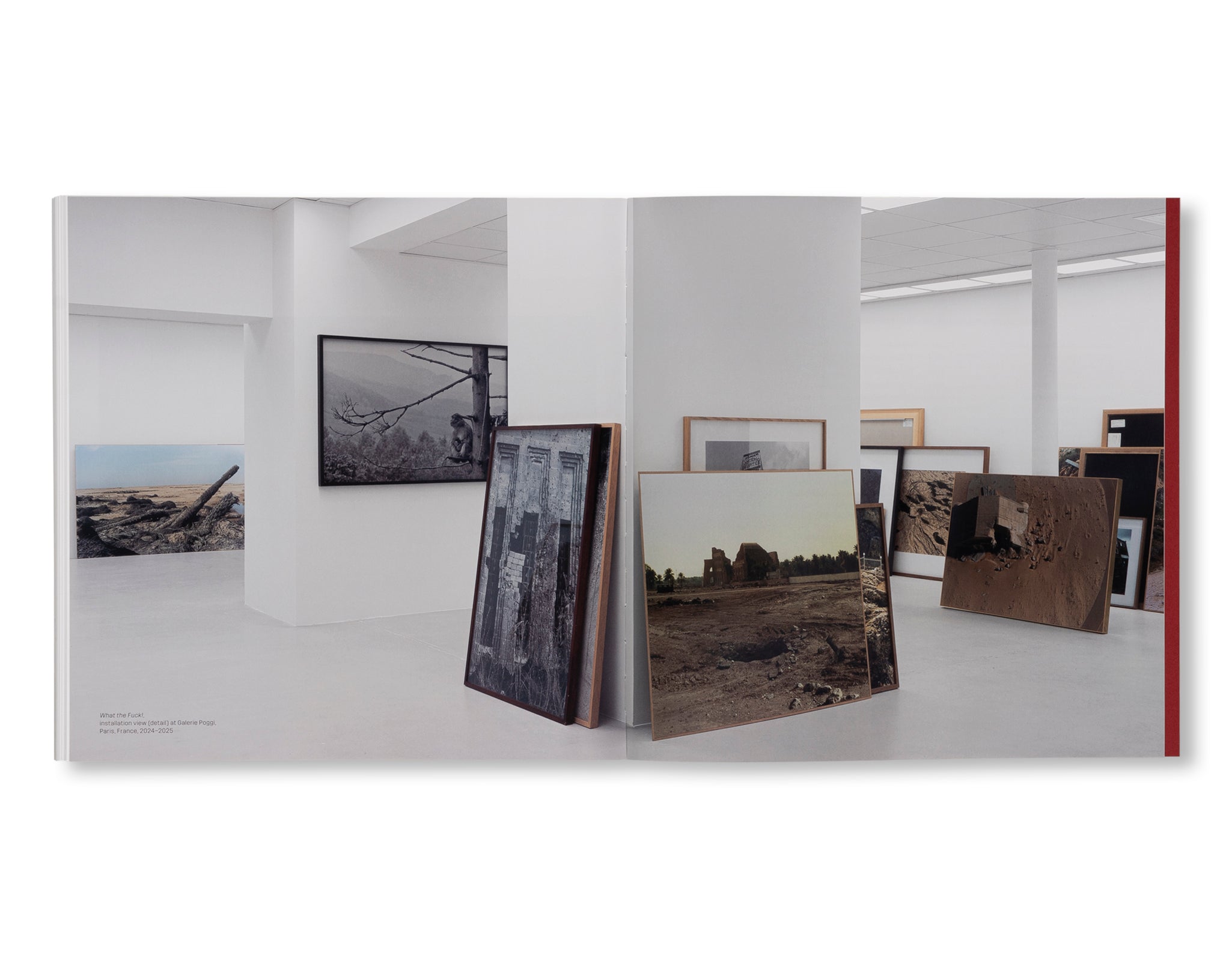 SOPHIE RISTELHUEBER - HASSELBLAD AWARD 2025 by Sophie Ristelhueber