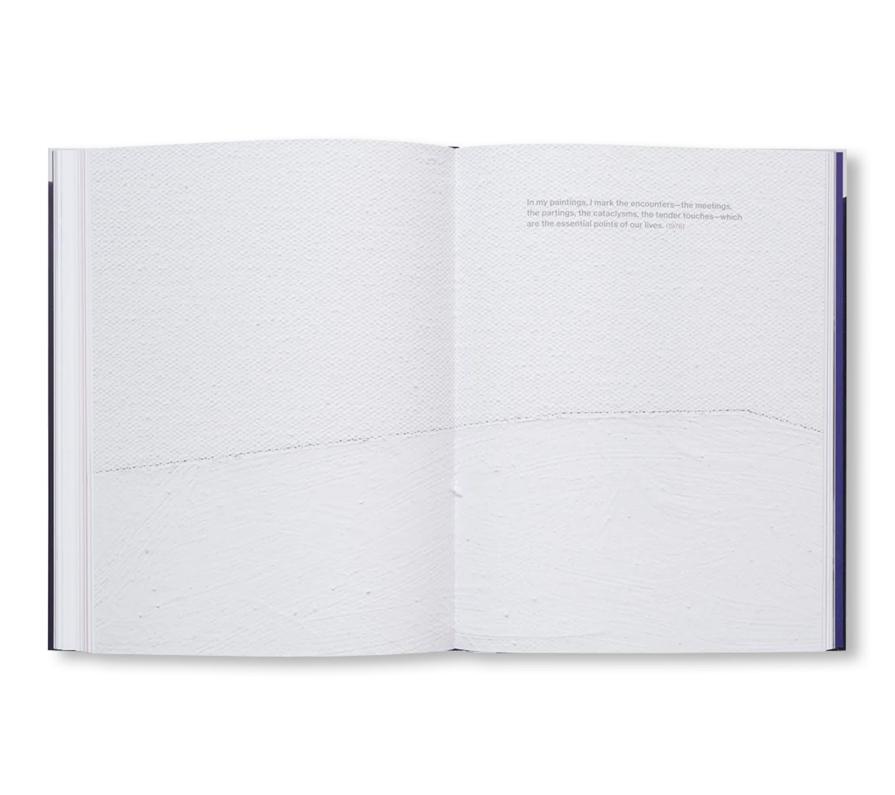 ANNE TRUITT: PIONEER OF MINIMAL ART by Anne Truitt