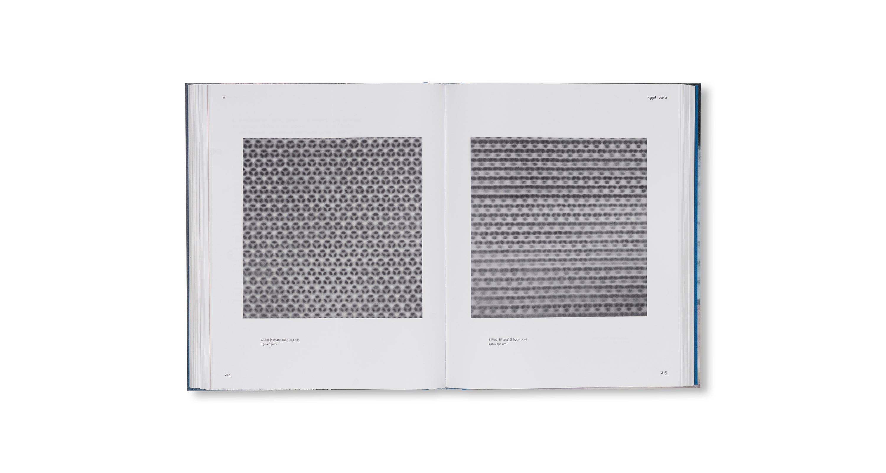 GERHARD RICHTER by Gerhard Richter (FONDATION LOUIS VUITTON)