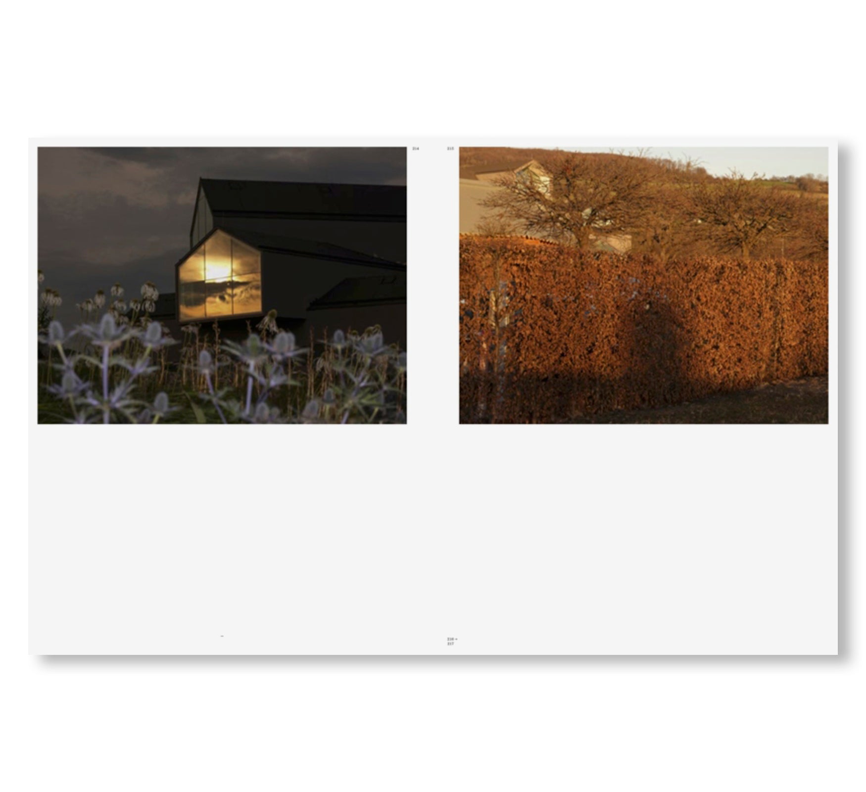 SIT, SITE, CHAIR, CHERRY by Aleix Plademunt