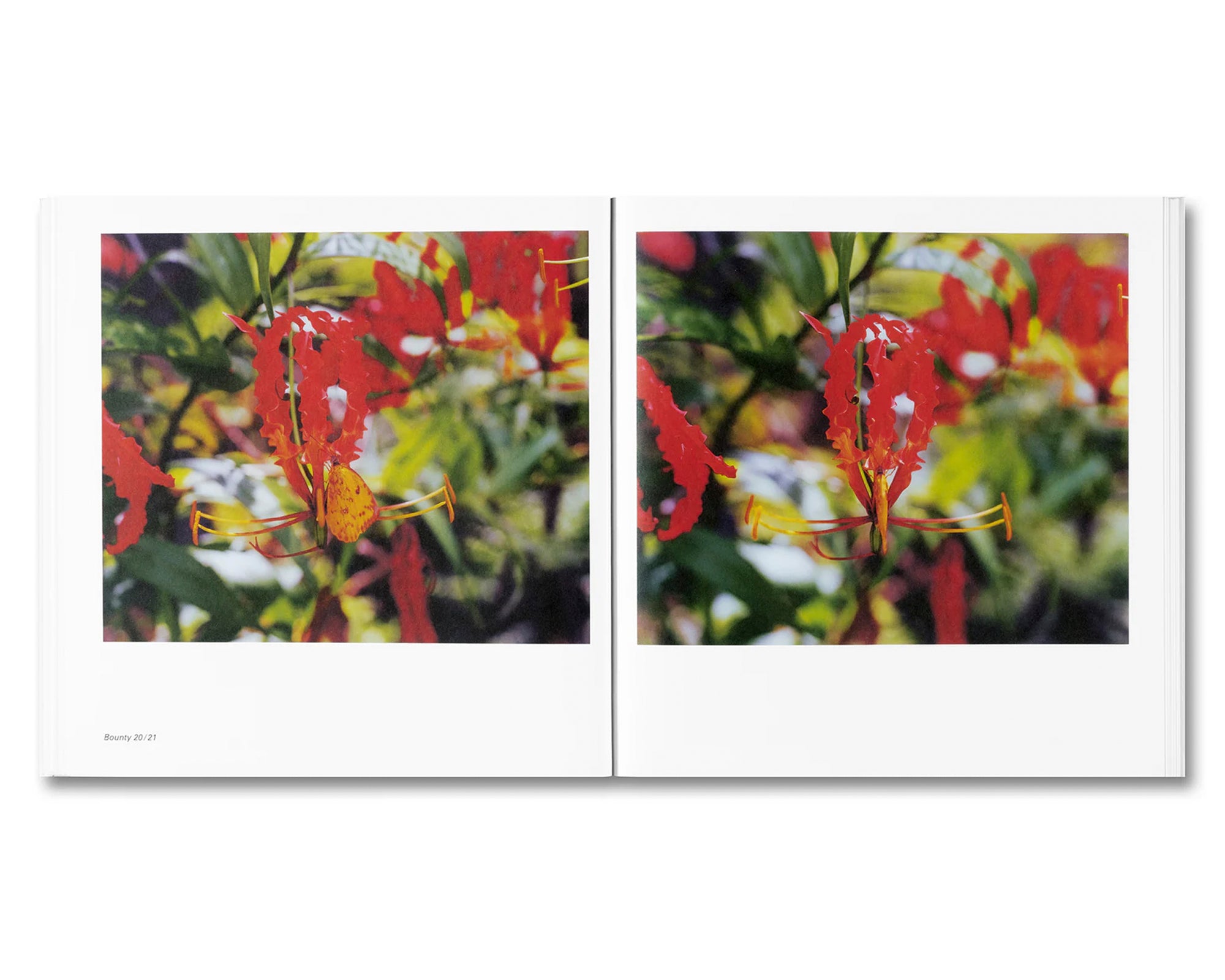 BOUNTY by Steve McQueen