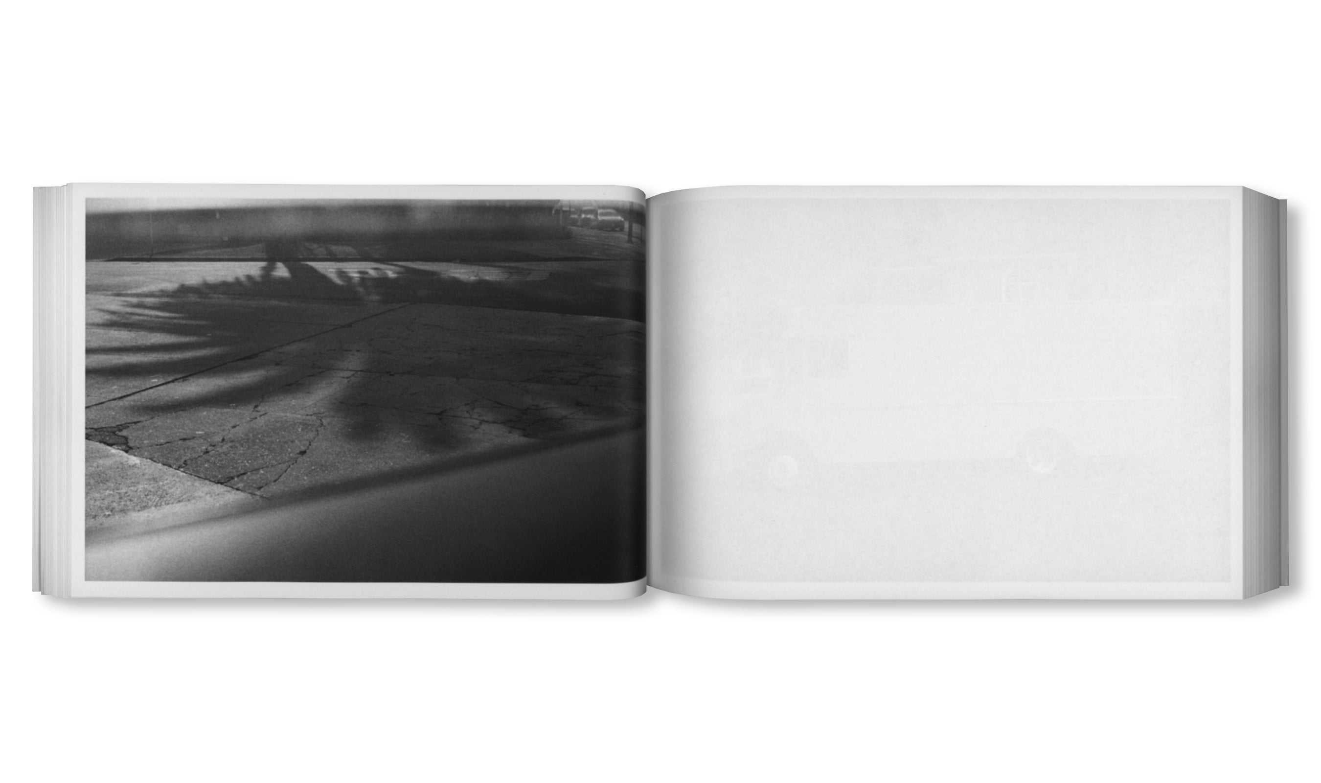 DAMAGED by Paul Grund [SIGNED]