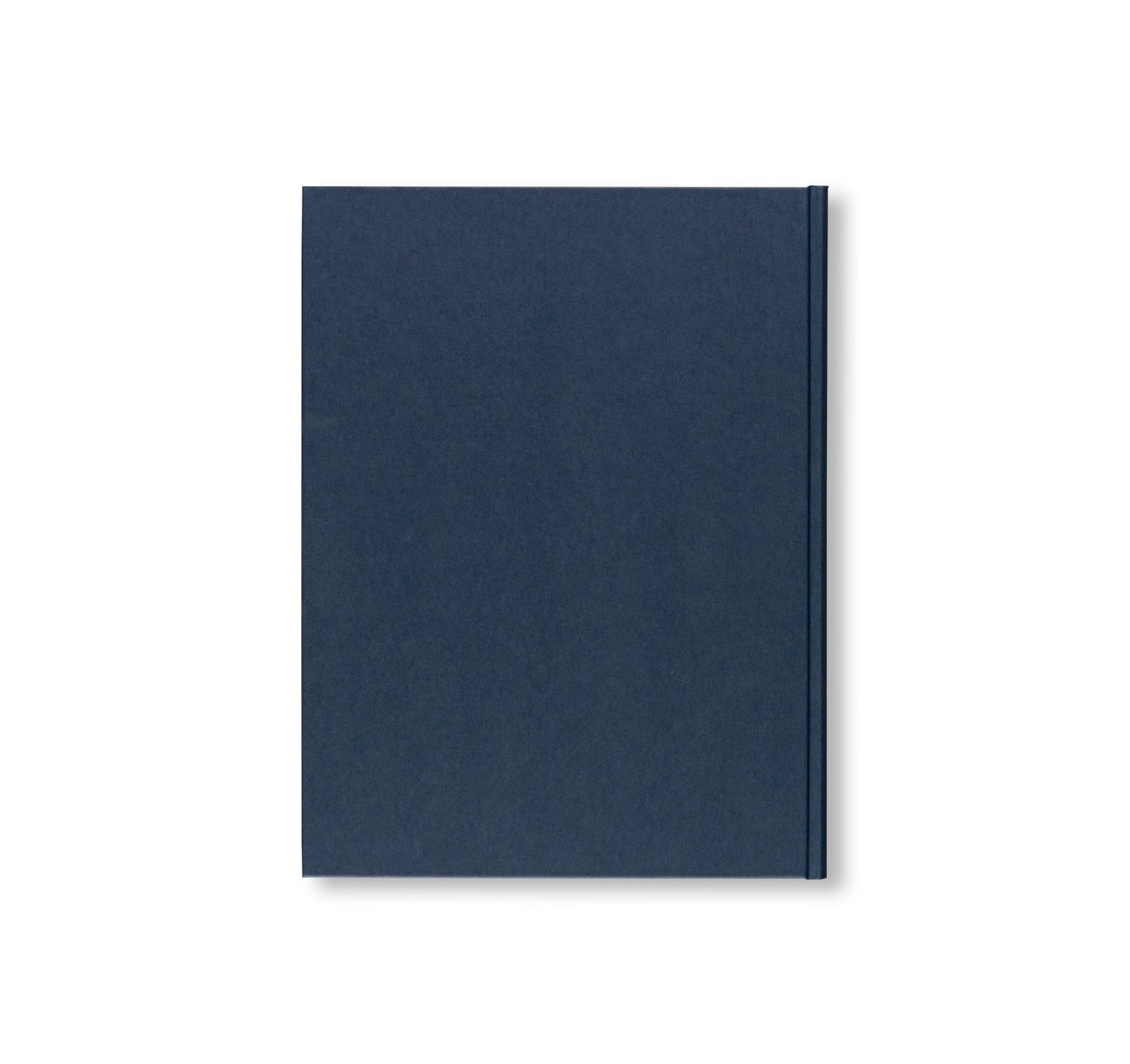 THE INSOMNIA DRAWINGS by Louise Bourgeois