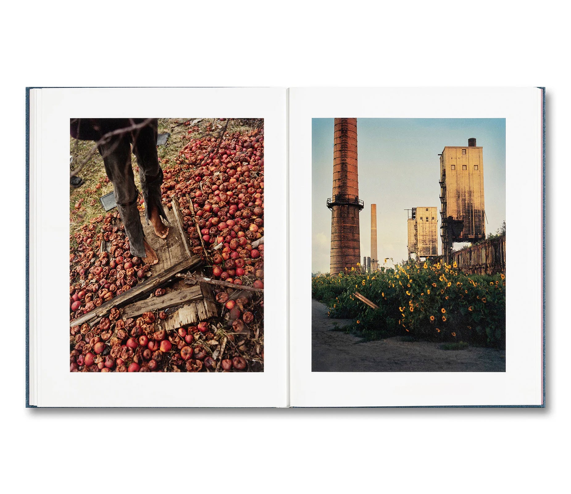 KING, QUEEN, KNAVE by Gregory Halpern [SIGNED]