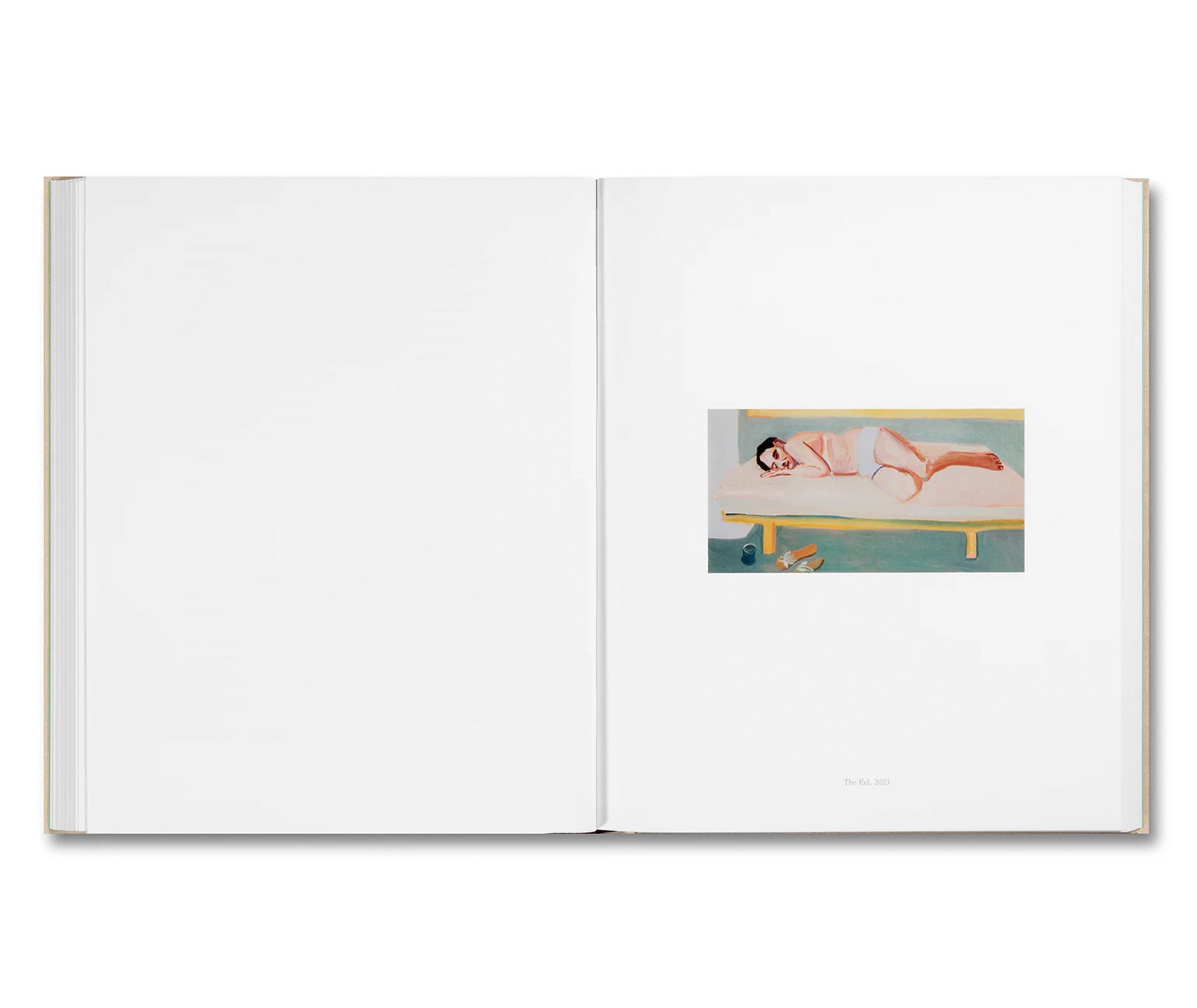 PAINTING WRITING TEXTING by Chantal Joffe, Olivia Laing