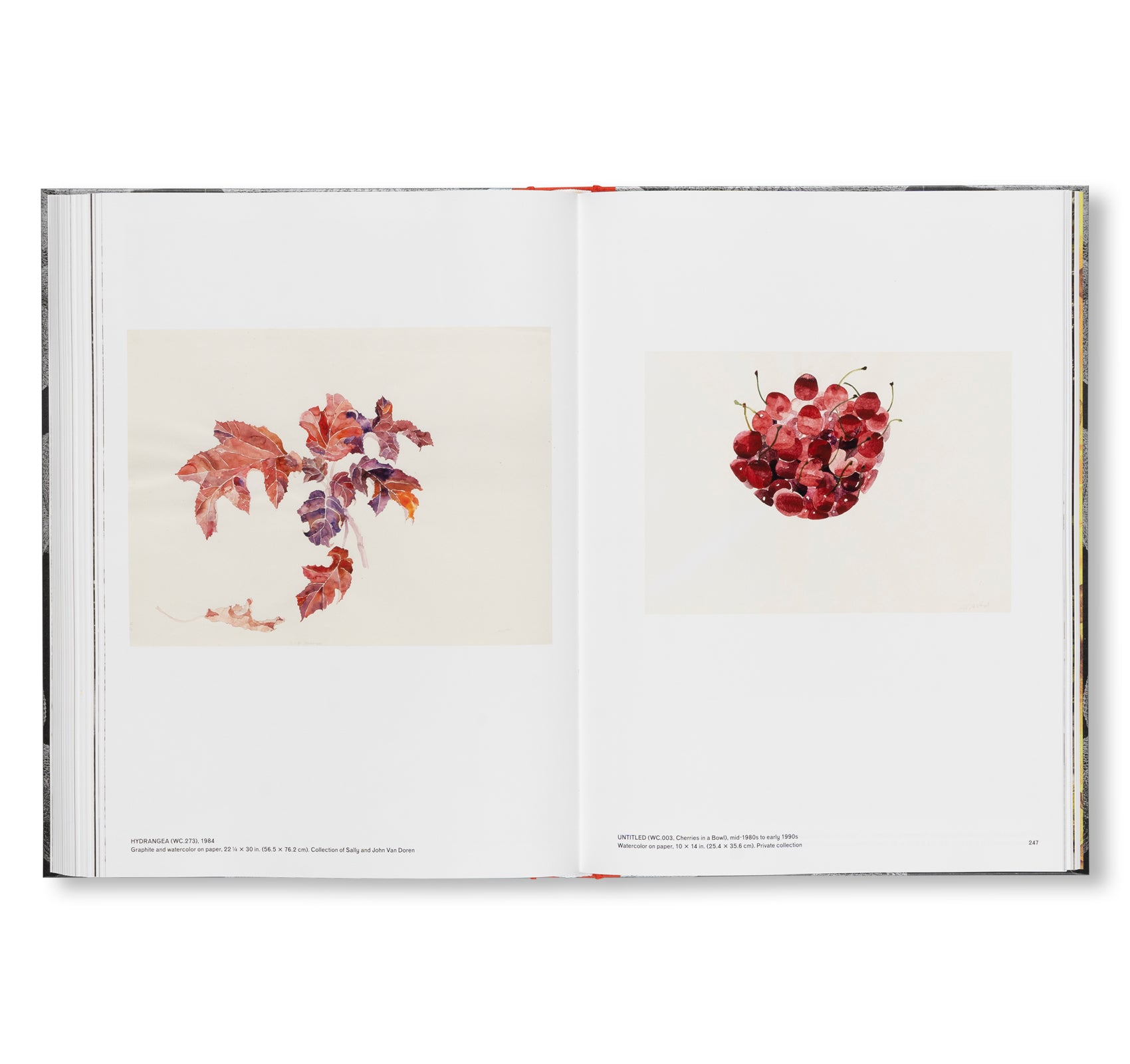 RETROSPECTIVE by Ruth Asawa