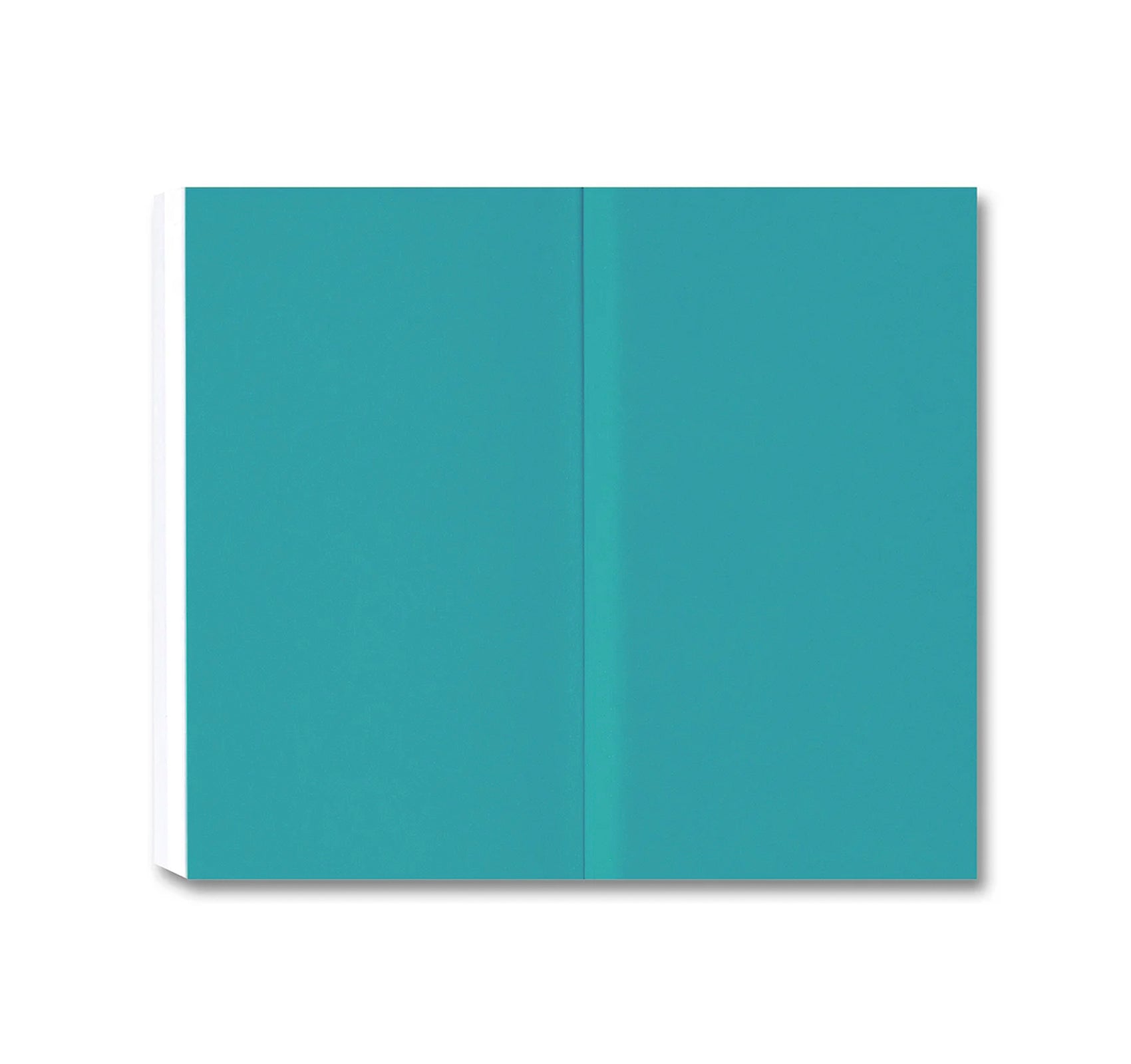 DONALD JUDD WRITINGS by Donald Judd