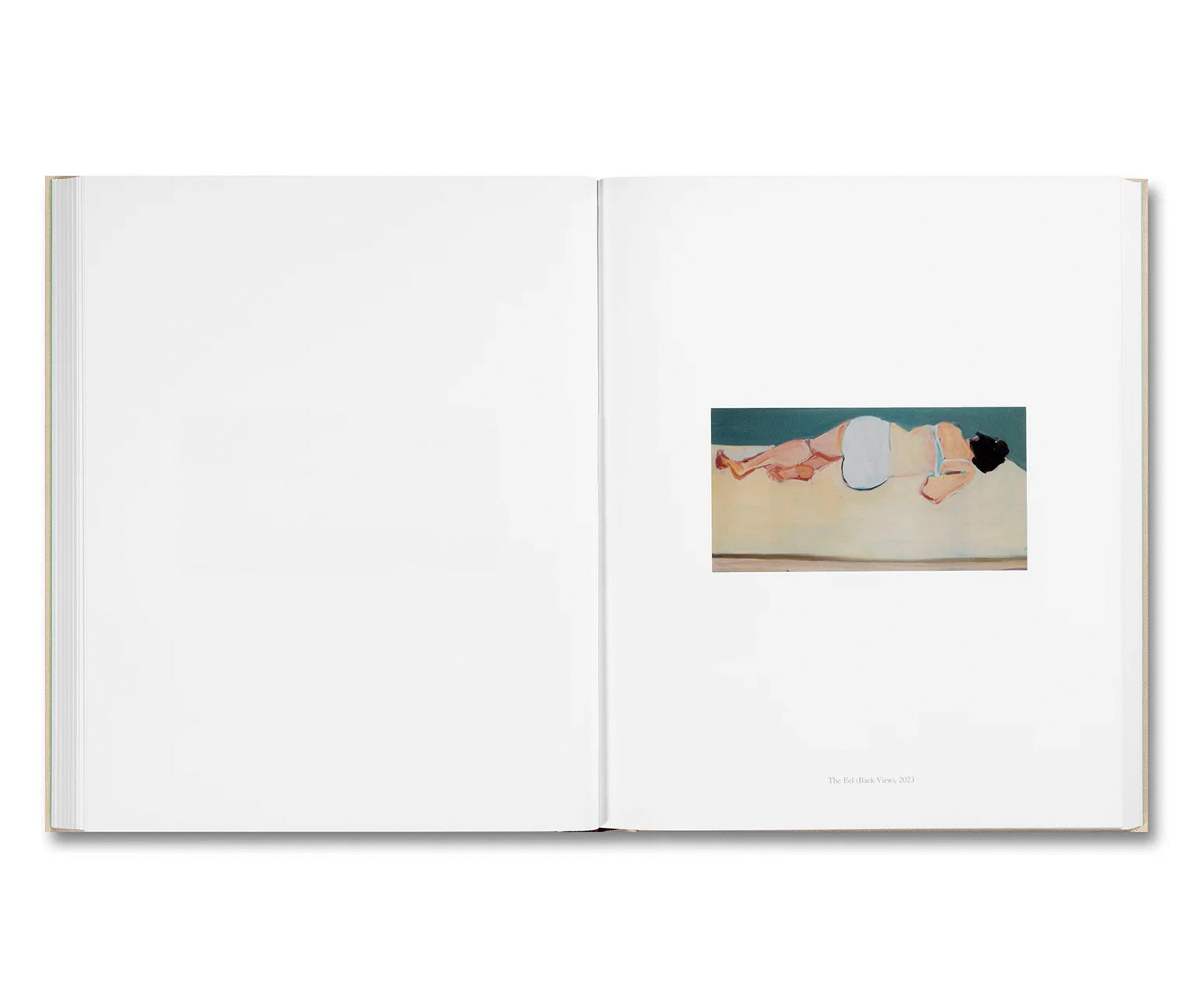 PAINTING WRITING TEXTING by Chantal Joffe, Olivia Laing