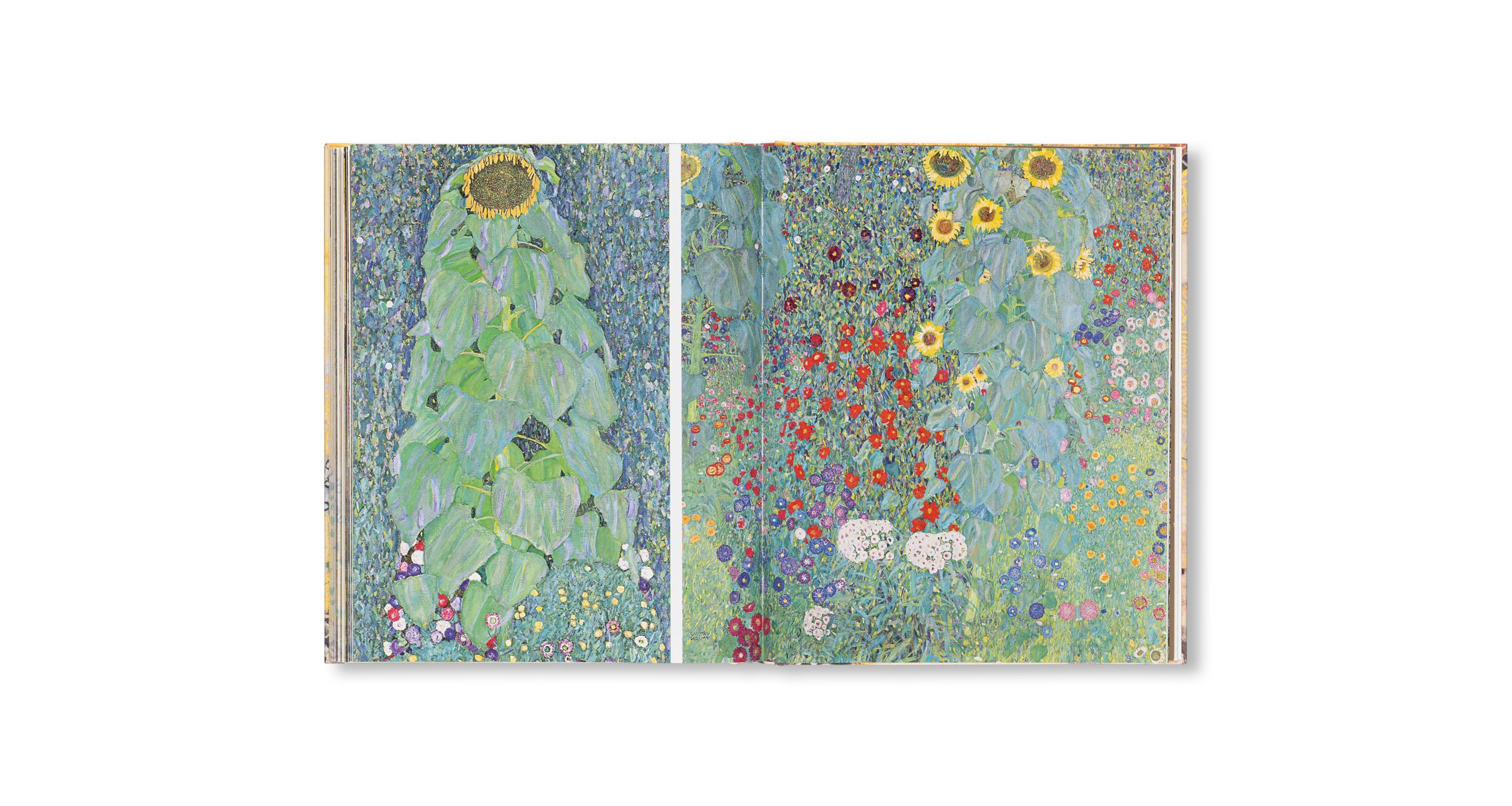 KLIMT - THE BIGGER PICTURE by Philippe Thiébaut