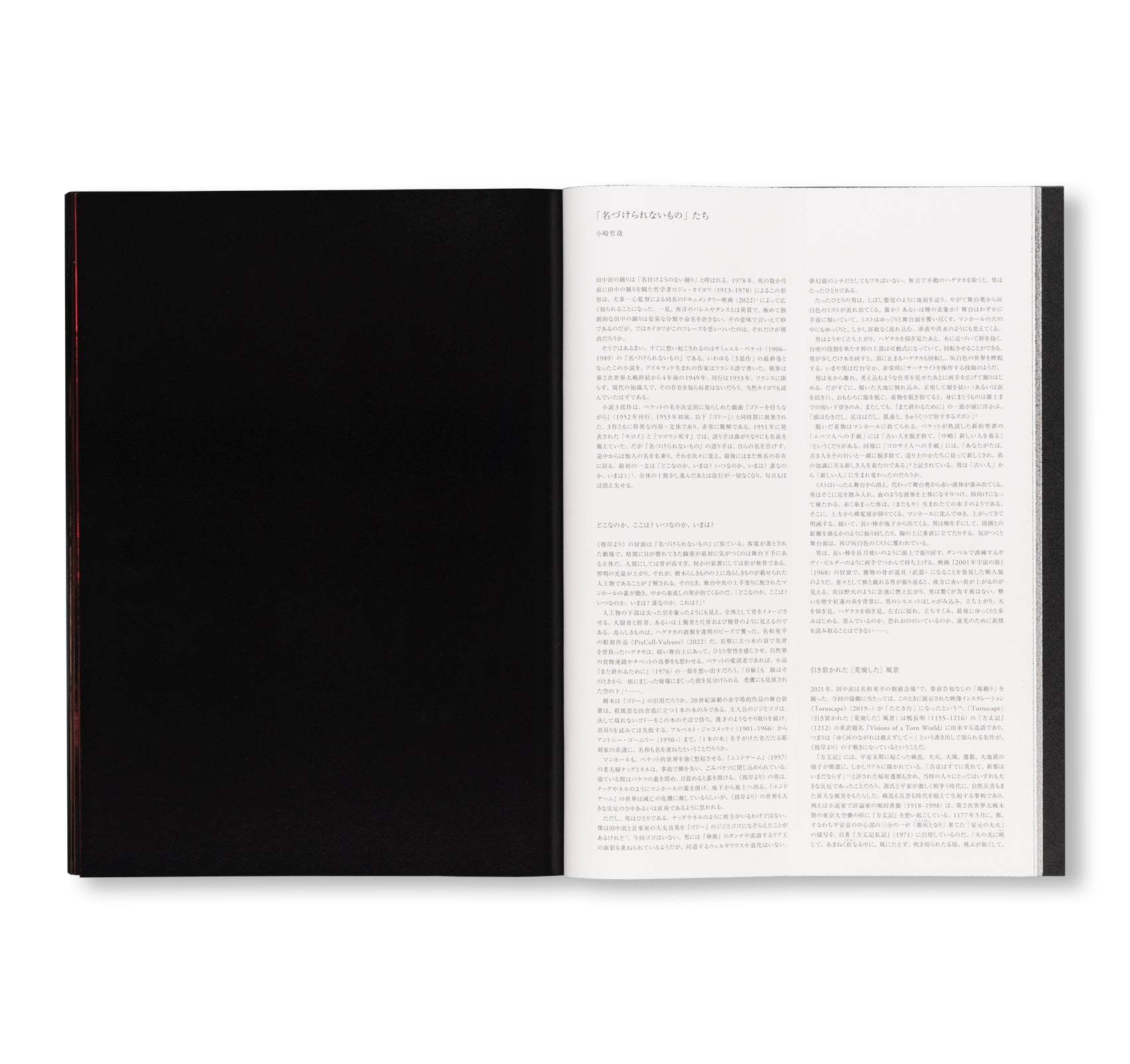 FROM THE EDGE 彼岸より by Min Tanaka, Kohei Nawa
