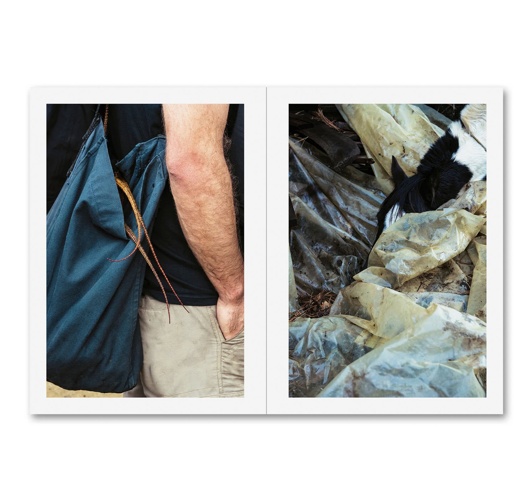 LA CASA ISLA by Anne Golaz