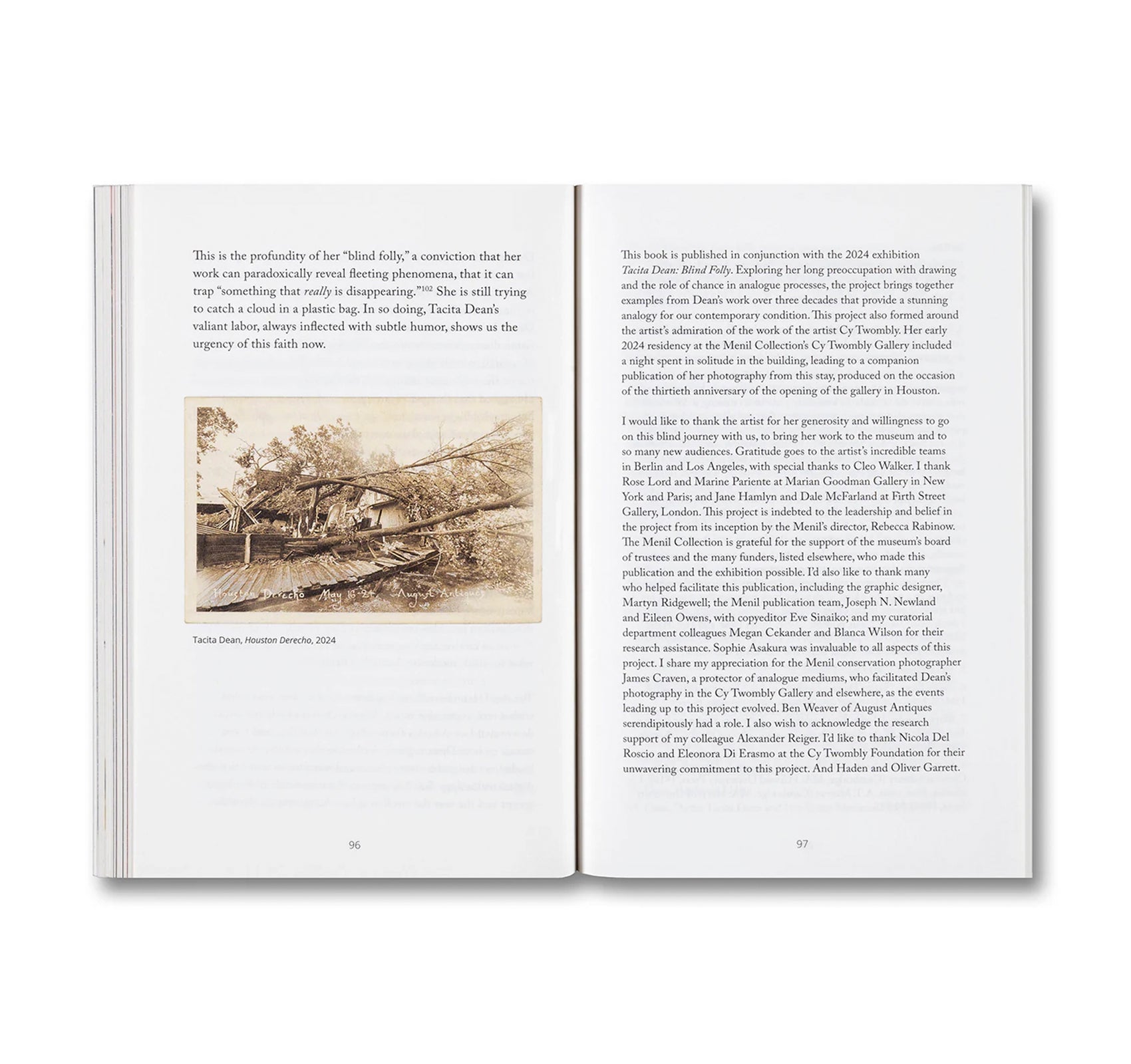 BLIND FOLLY OR HOW TACITA DEAN DRAWS by Michelle White, Tacita Dean