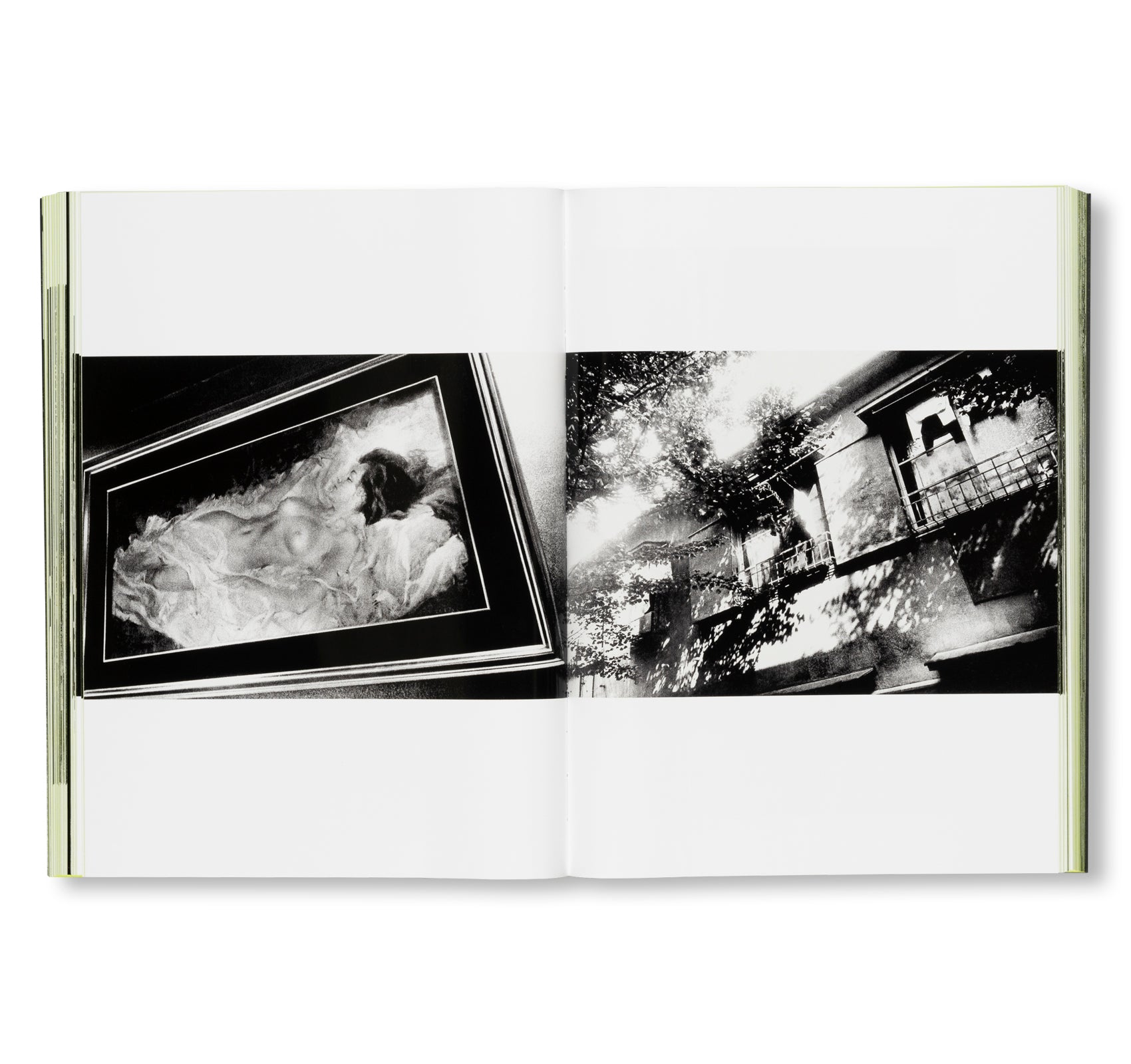 MORIYAMA: QUARTET by Daido Moriyama