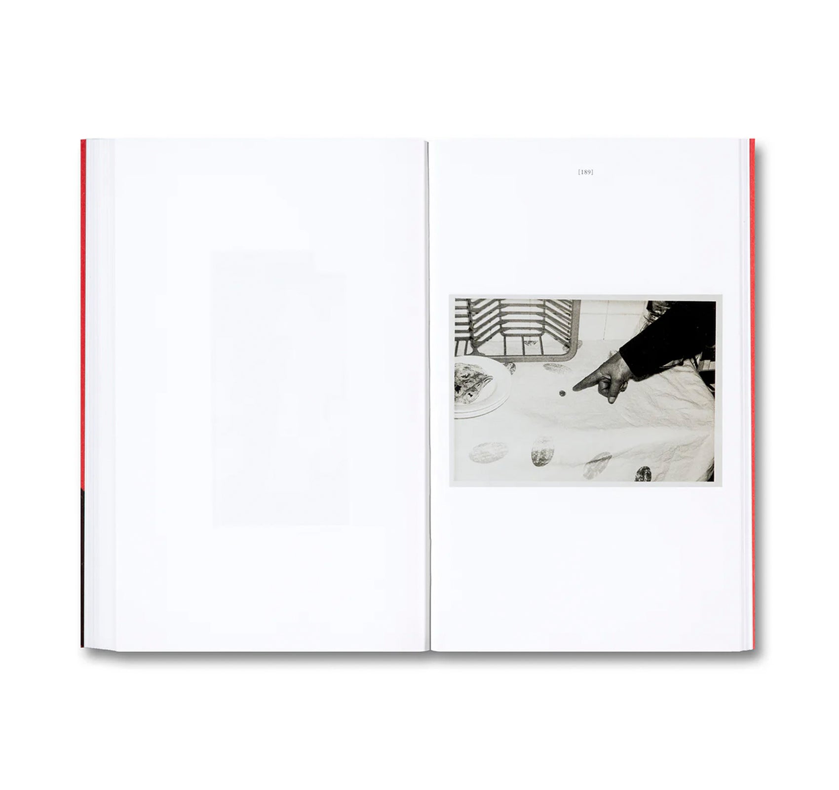 AGAINST BARTHES: THE EYE AND THE INDEX by Joan Fontcuberta