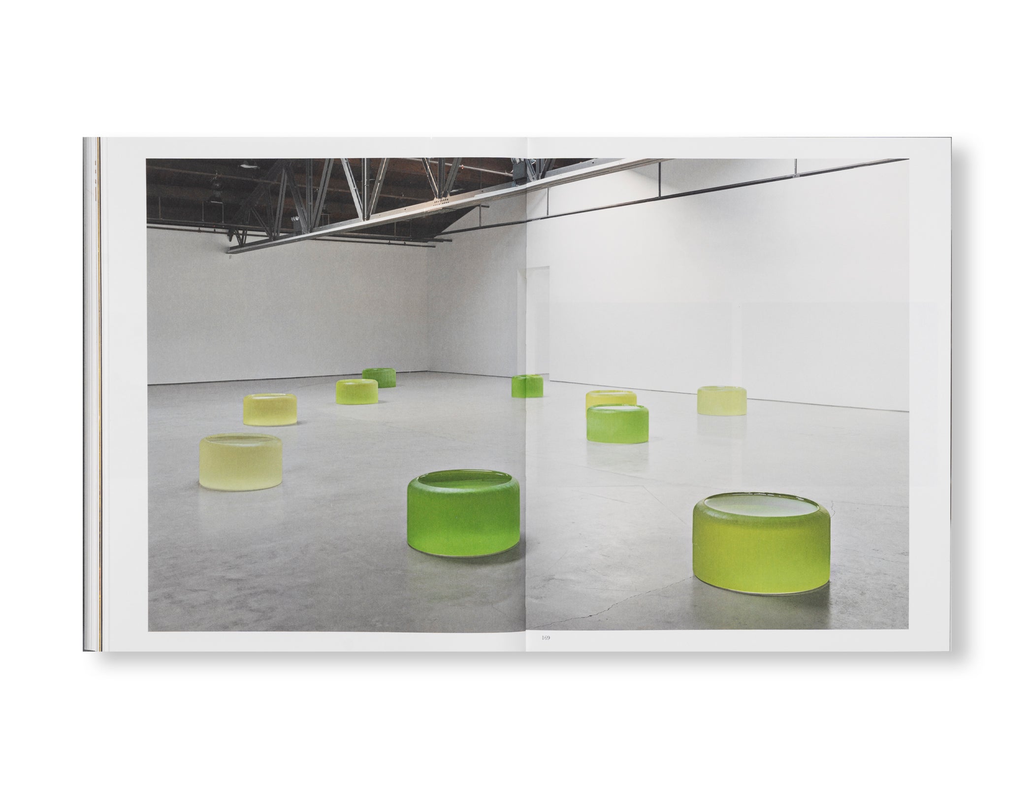 THE DETOUR OF IDENTITY by Roni Horn