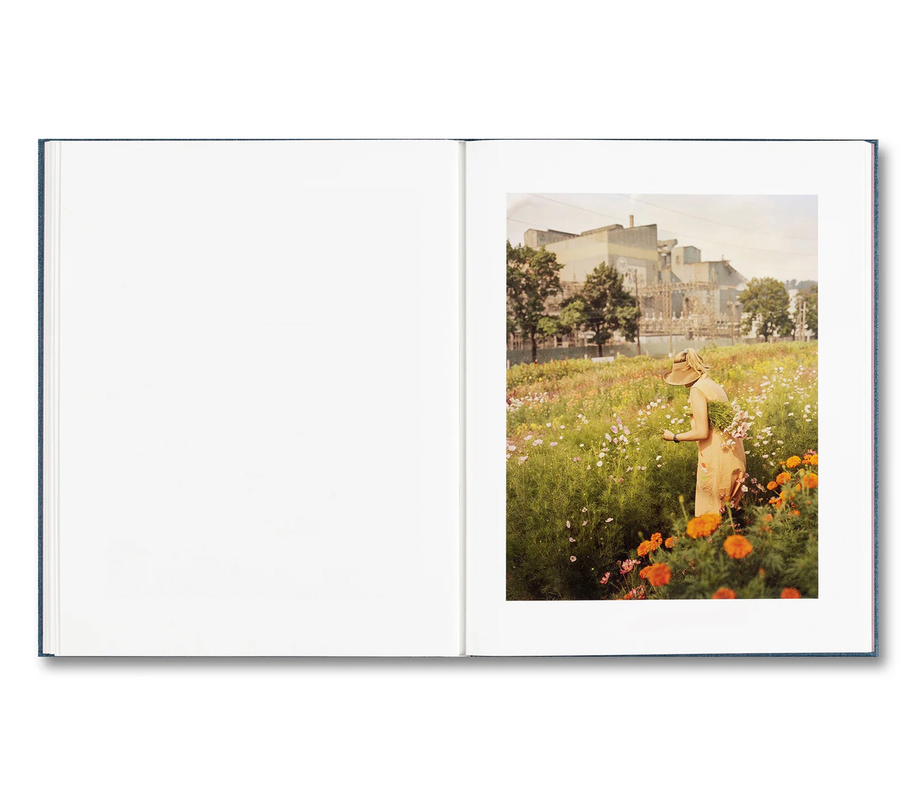 KING, QUEEN, KNAVE by Gregory Halpern