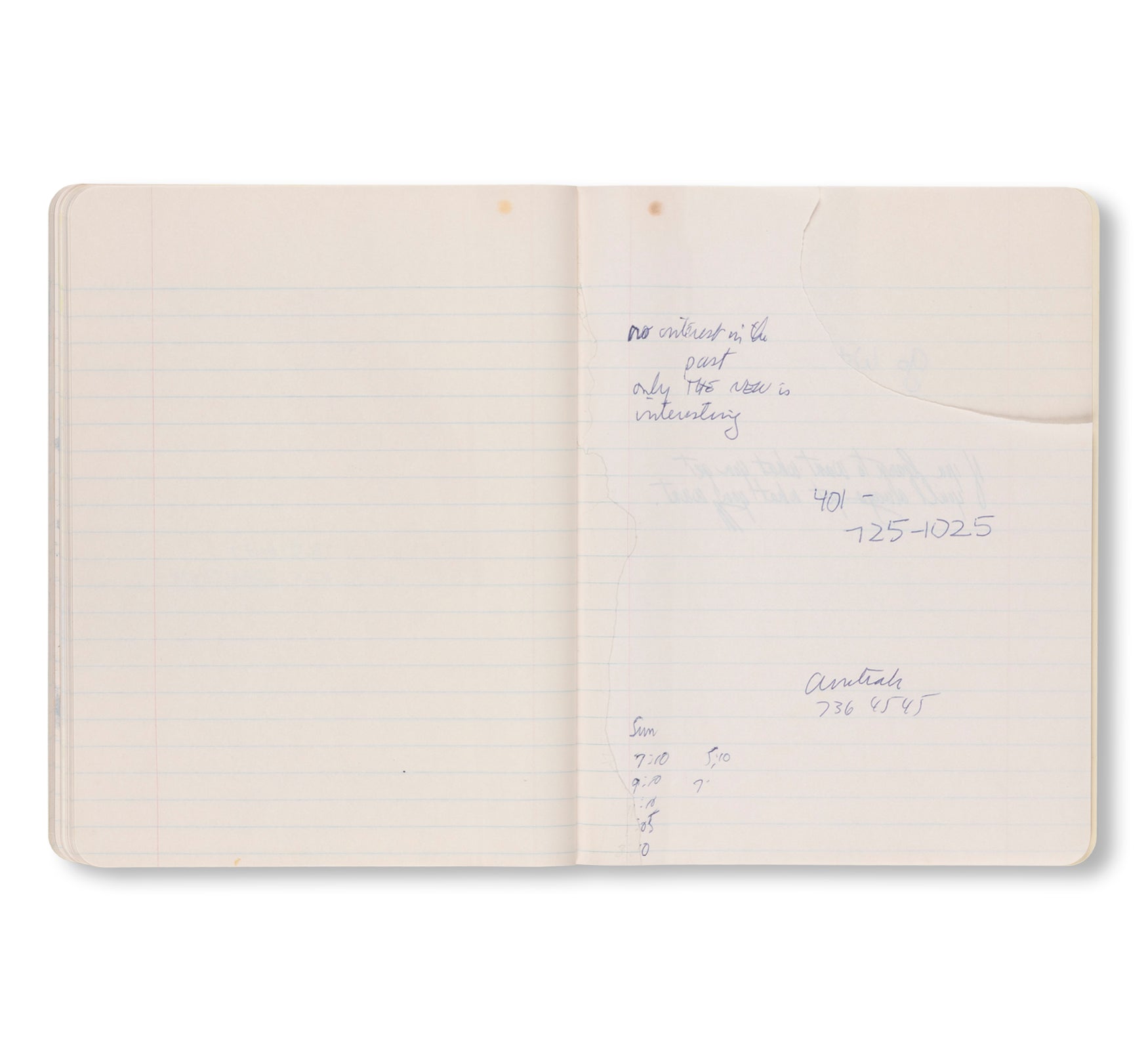 PAUL THEK: NOTEBOOK #41, 1977 by Paul Thek