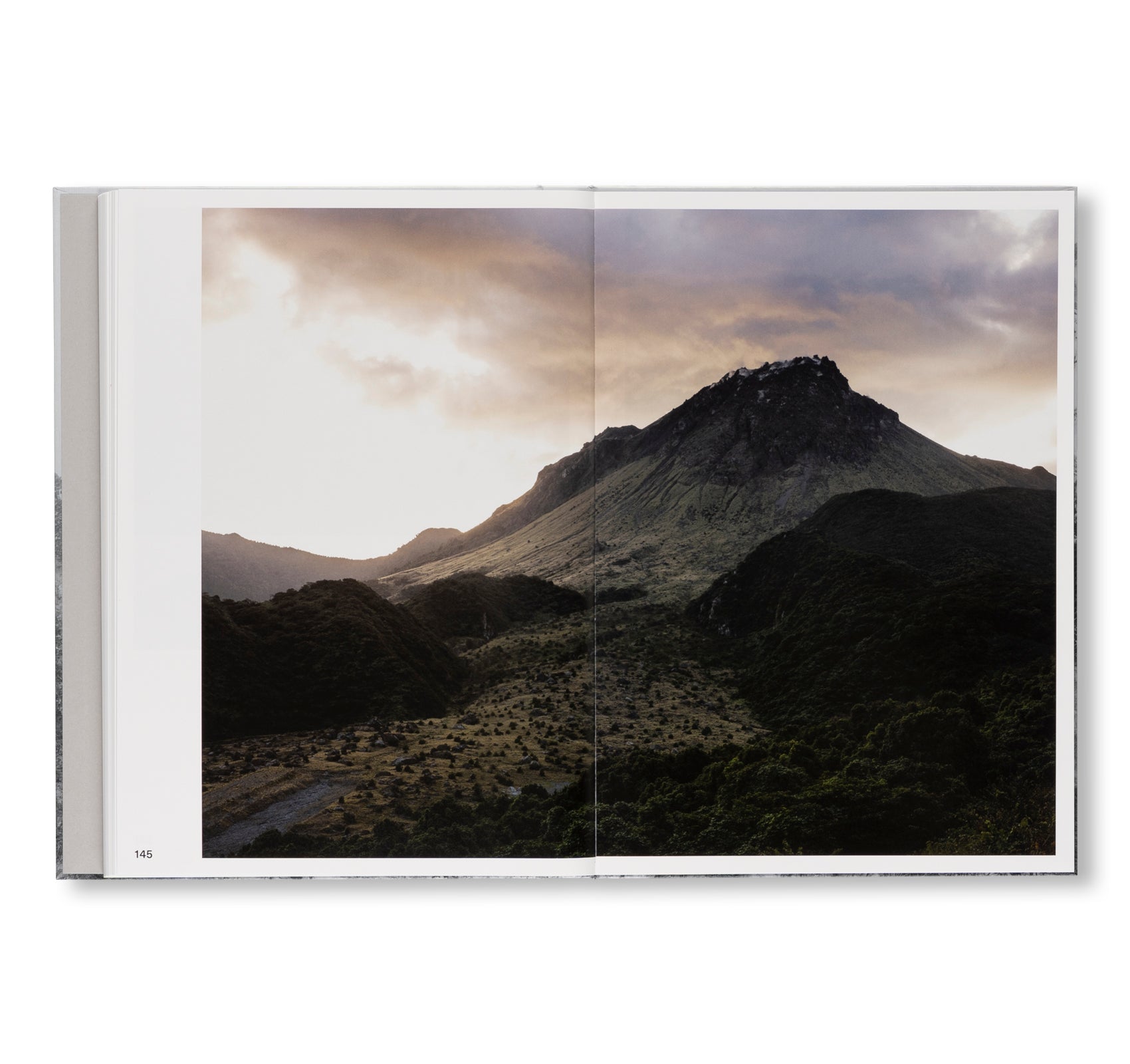 PRESENCE by Keiko Sasaoka