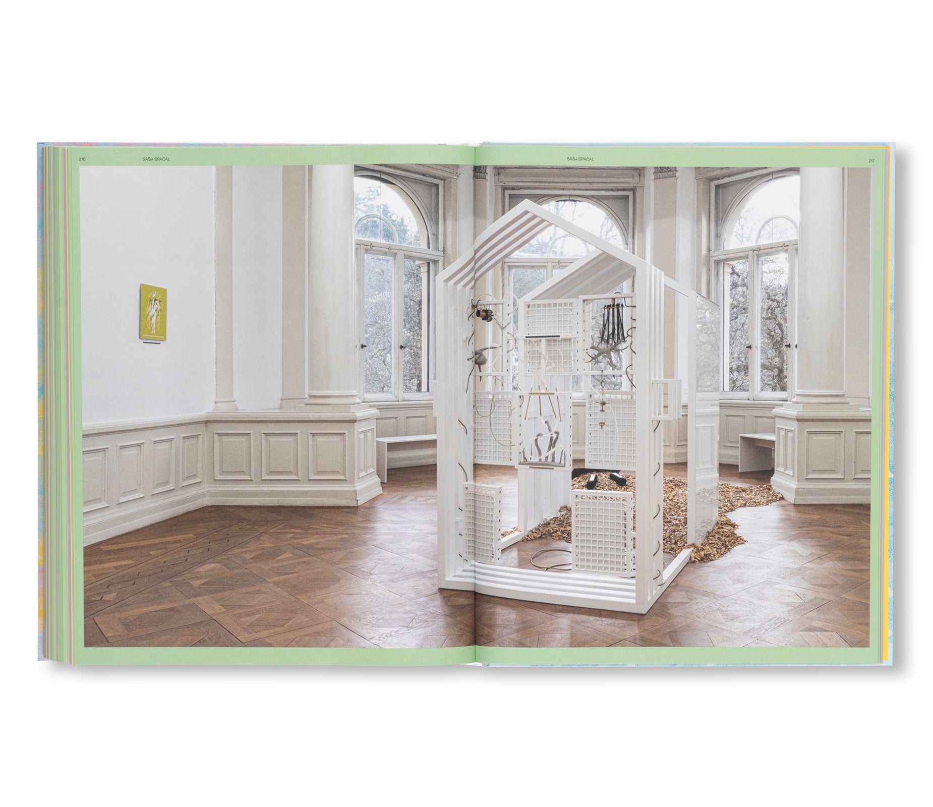 THE SENSES OF PLANTS