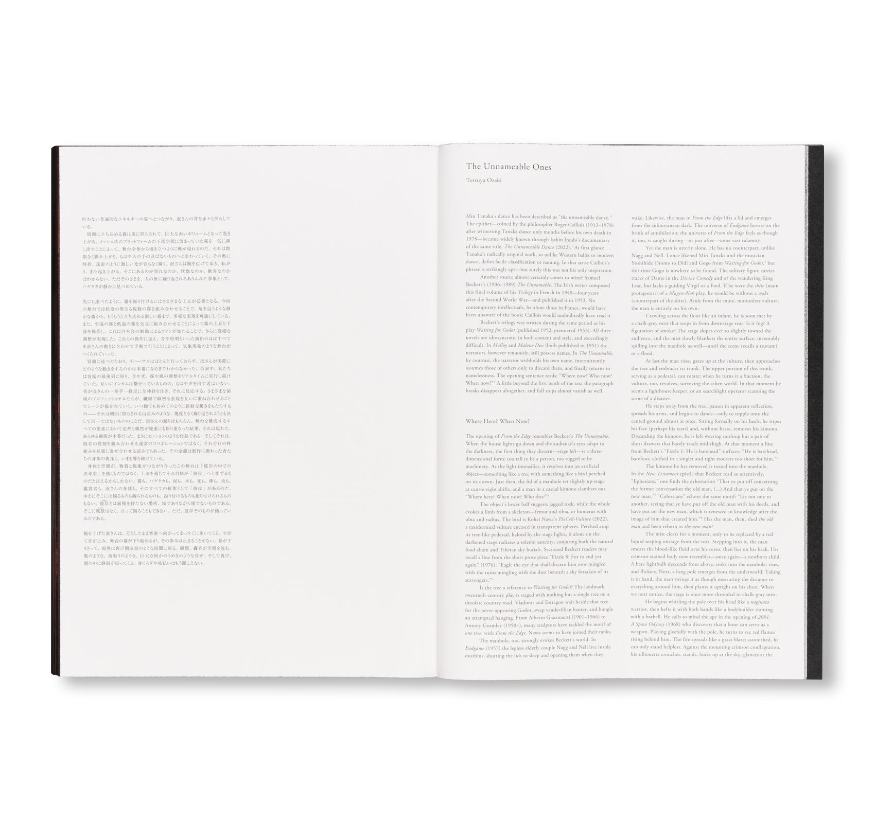 FROM THE EDGE 彼岸より by Min Tanaka, Kohei Nawa