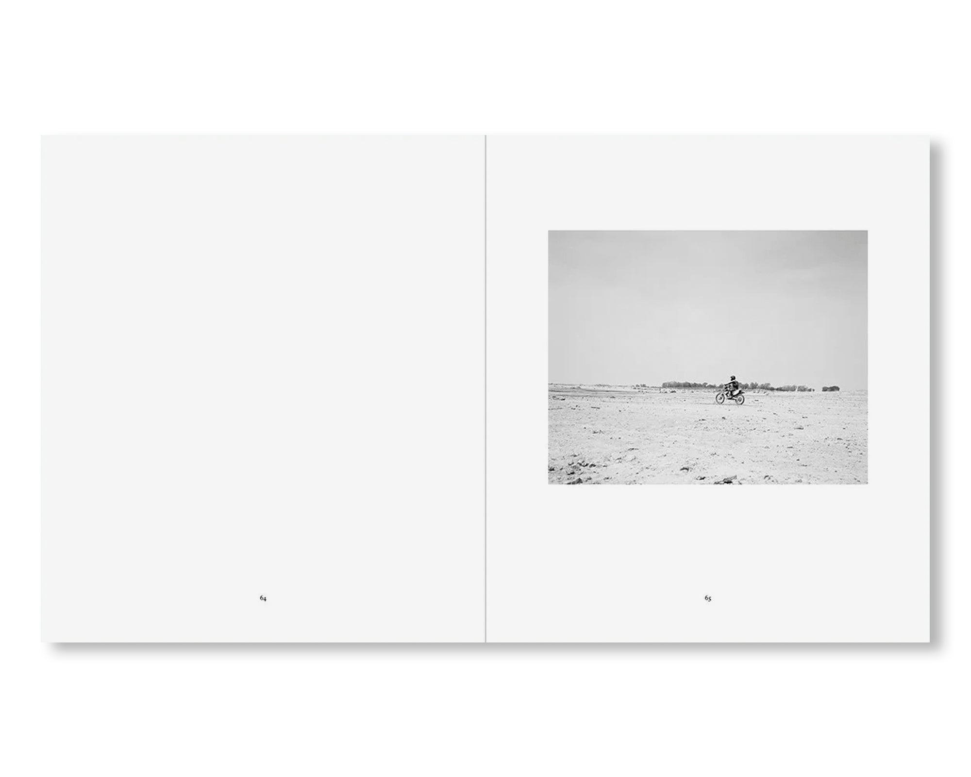 THE RESERVOIR by Mimi Plumb