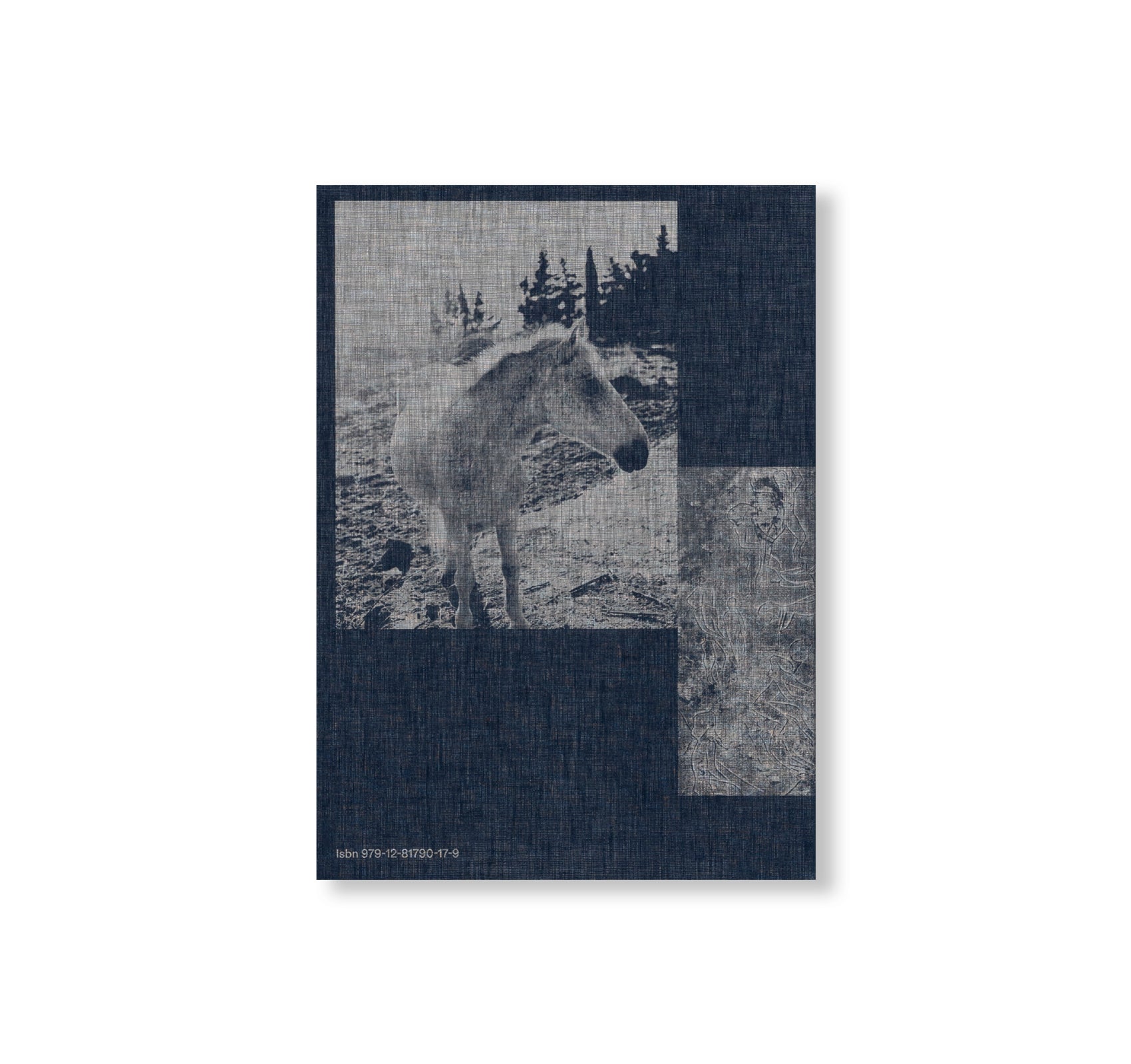 EMERGING COLLECTIONS - THE EXPERIENCE OF YOUNG ITALIAN PHOTOGRAPHY - LUIGI GHIRRI AWARD