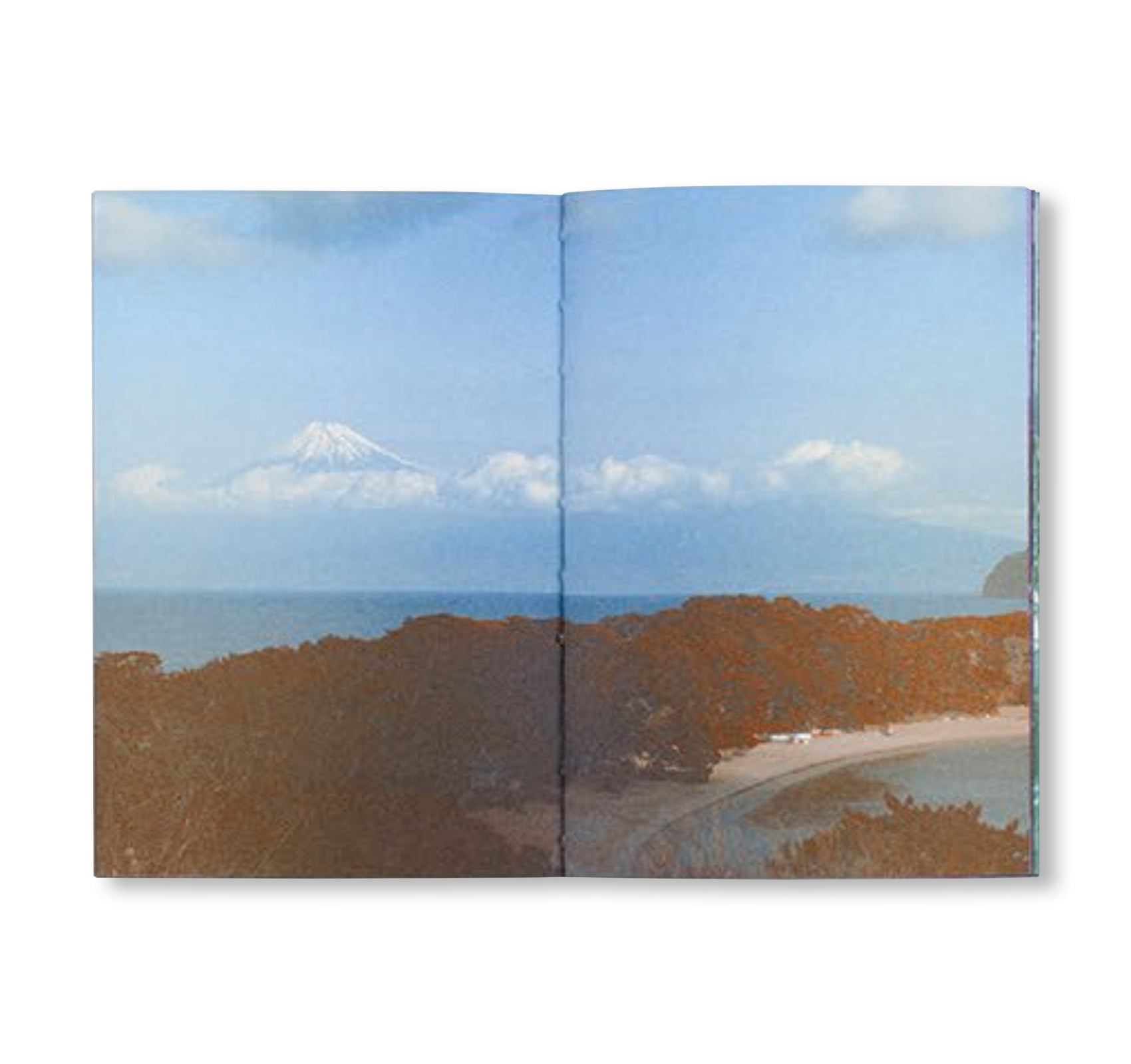 FUJI by Fanette Mellier, Clément Vauchez