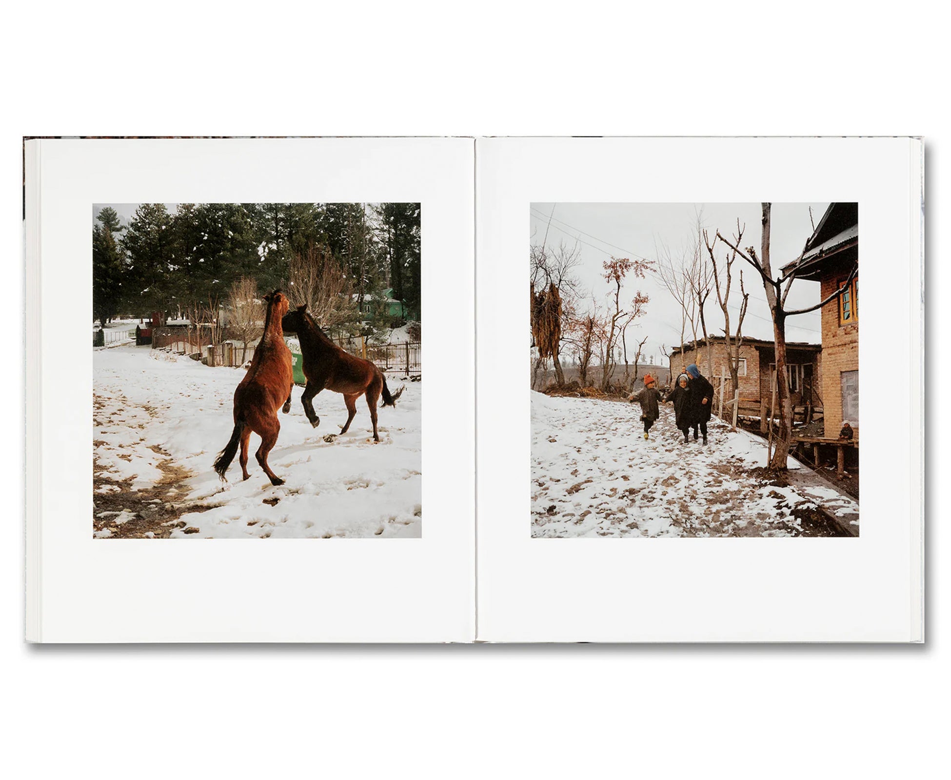 SNOW by Sohrab Hura
