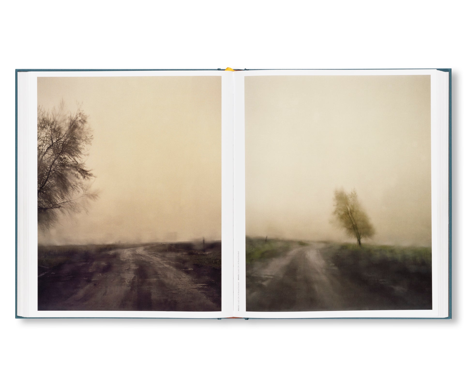 INTIMATE DISTANCE: OVER THIRTY YEARS OF PHOTOGRAPHS, A CHRONOLOGICAL ALBUM  by Todd Hido [REVISED AND EXPANDED EDITION]