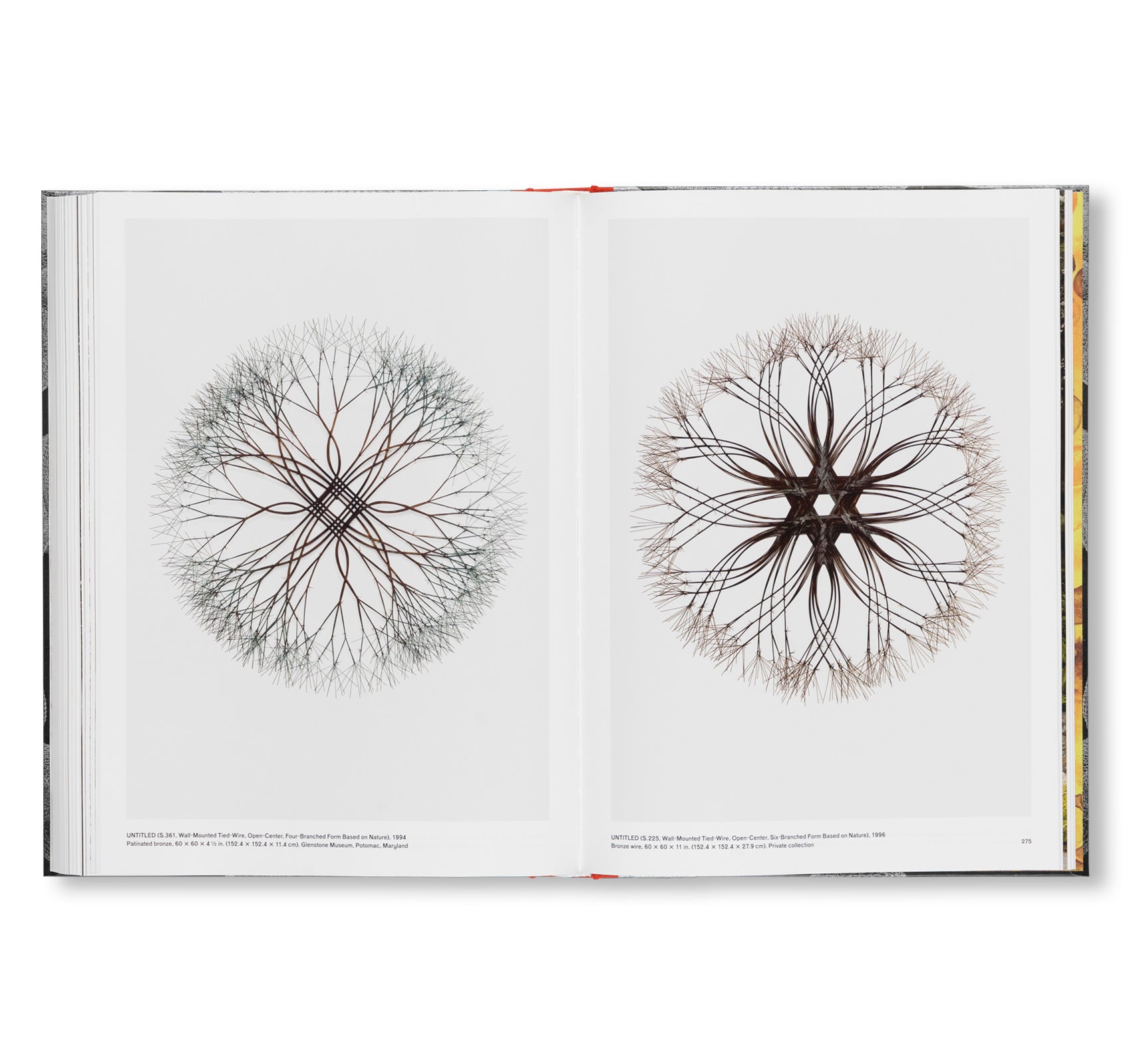 RETROSPECTIVE by Ruth Asawa