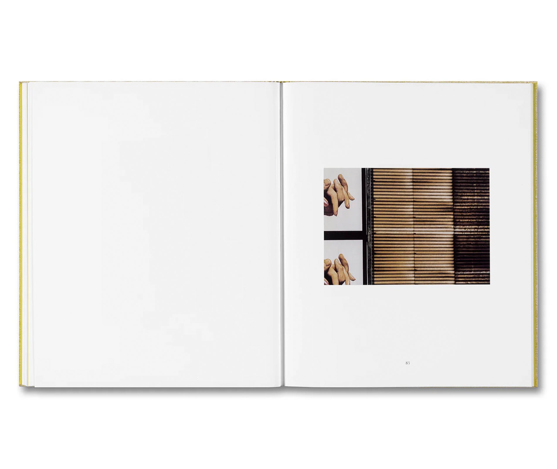 LUIGI GHIRRI FELICITÀ by Alessio Bolzoni, Luca Guadagnino