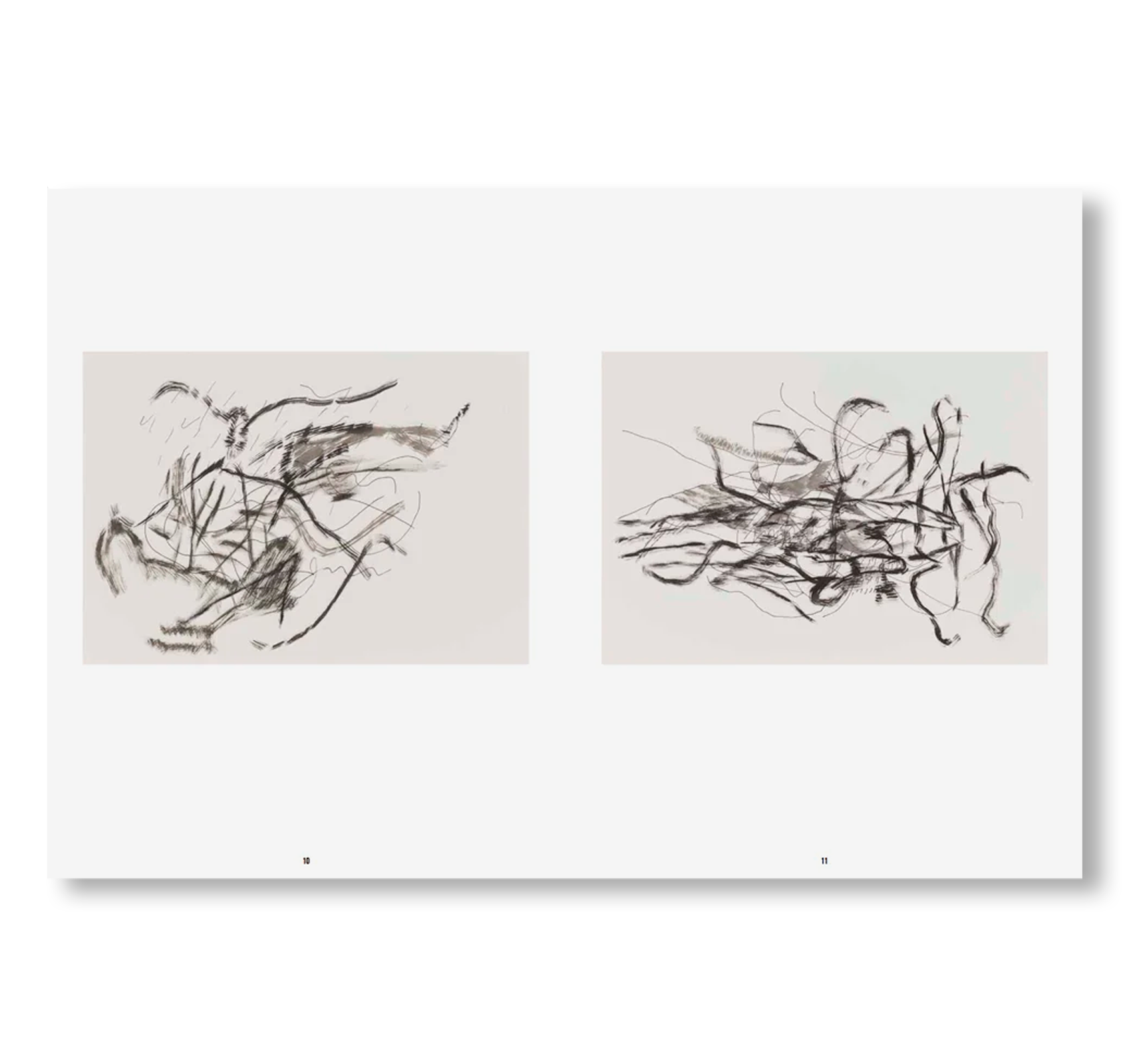 DRAWINGS AND MONOTYPES by Julie Mehretu