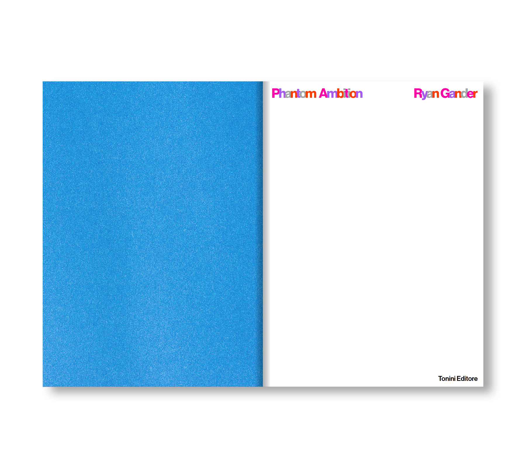 PHANTOM AMBITION by Ryan Gander