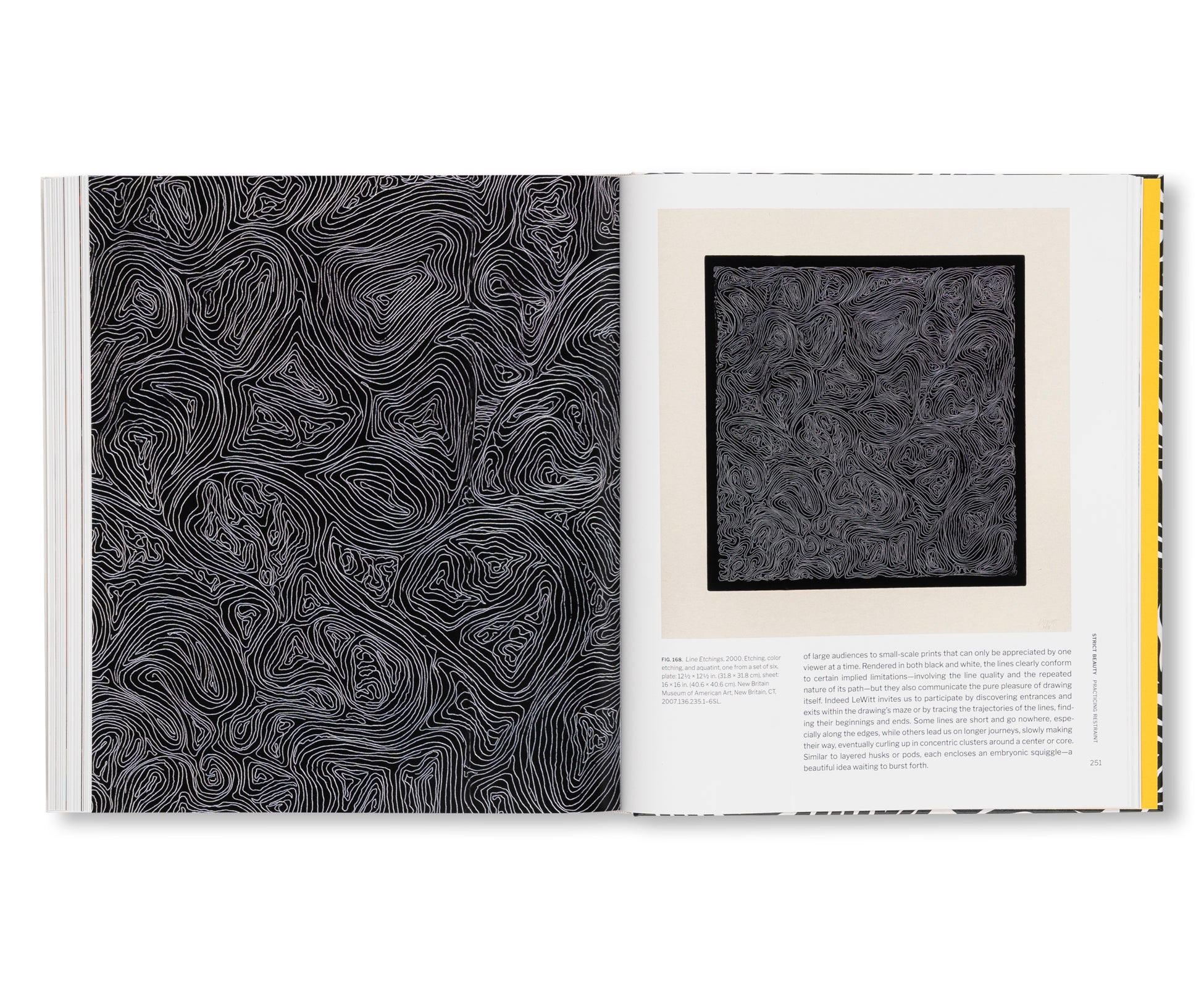 STRICT BEAUTY - SOL LEWITT PRINTS by Sol LeWitt