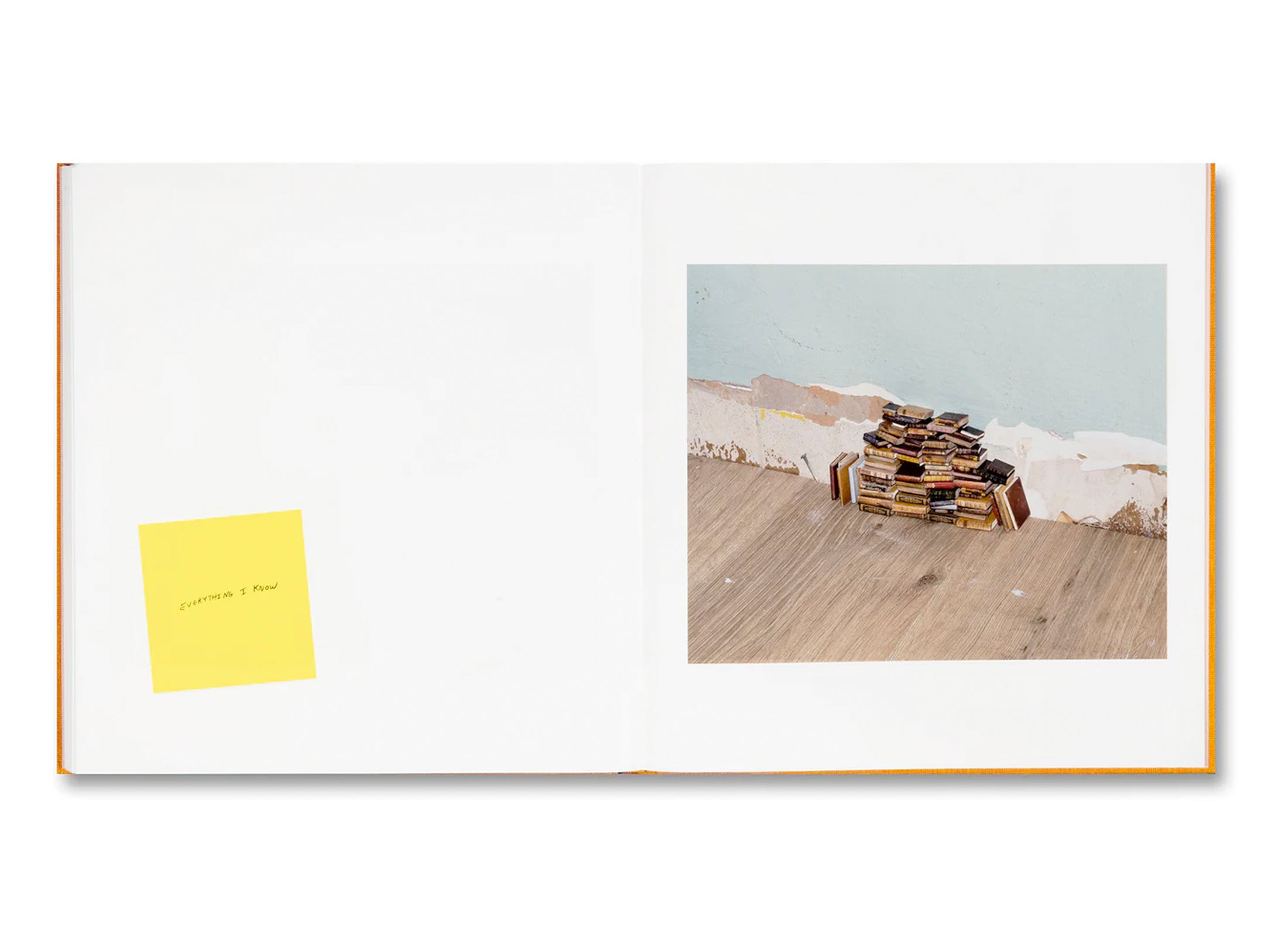 ADVICE FOR YOUNG ARTISTS by Alec Soth [SIGNED]