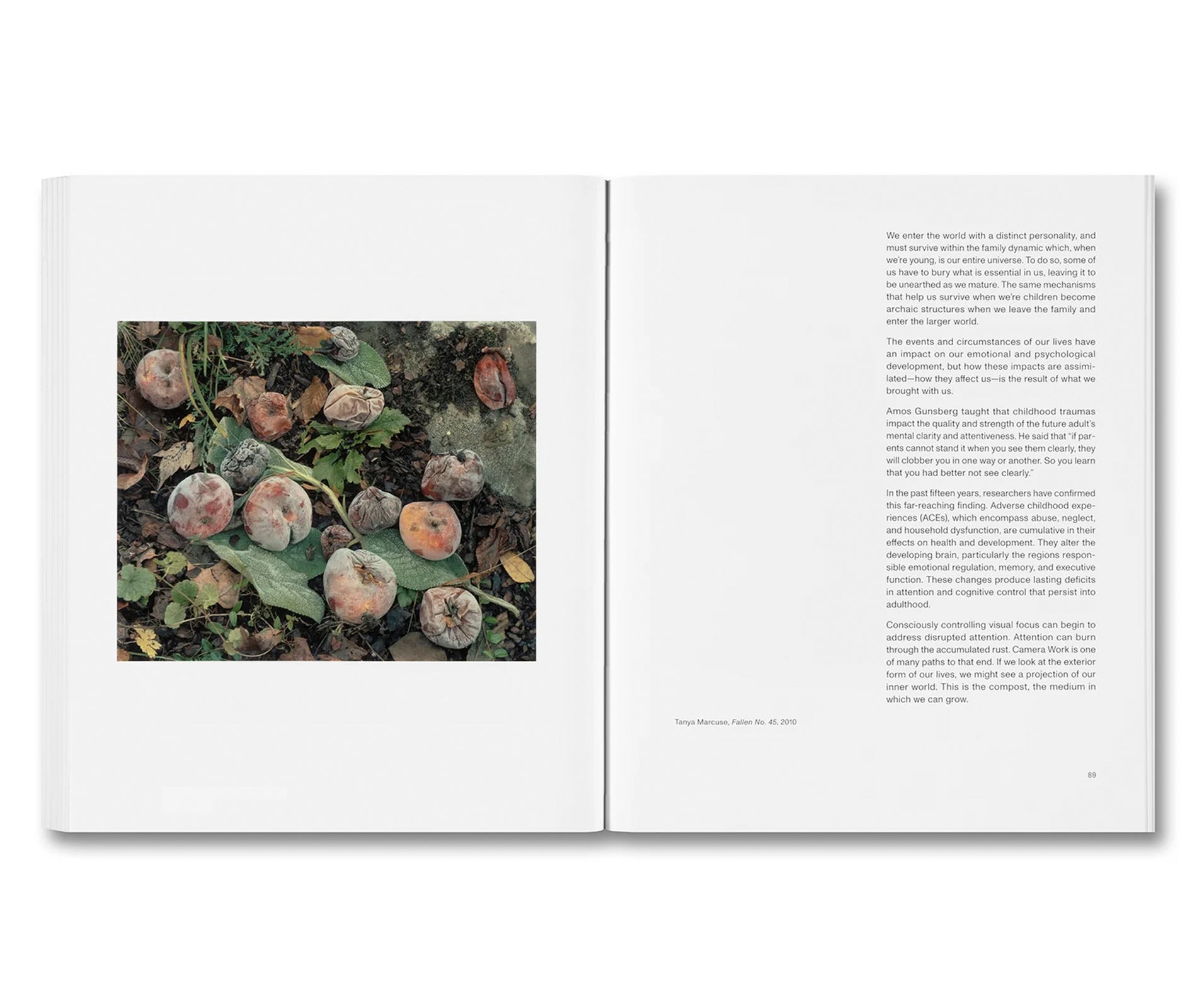 THE MENTAL IMAGE by Stephen Shore